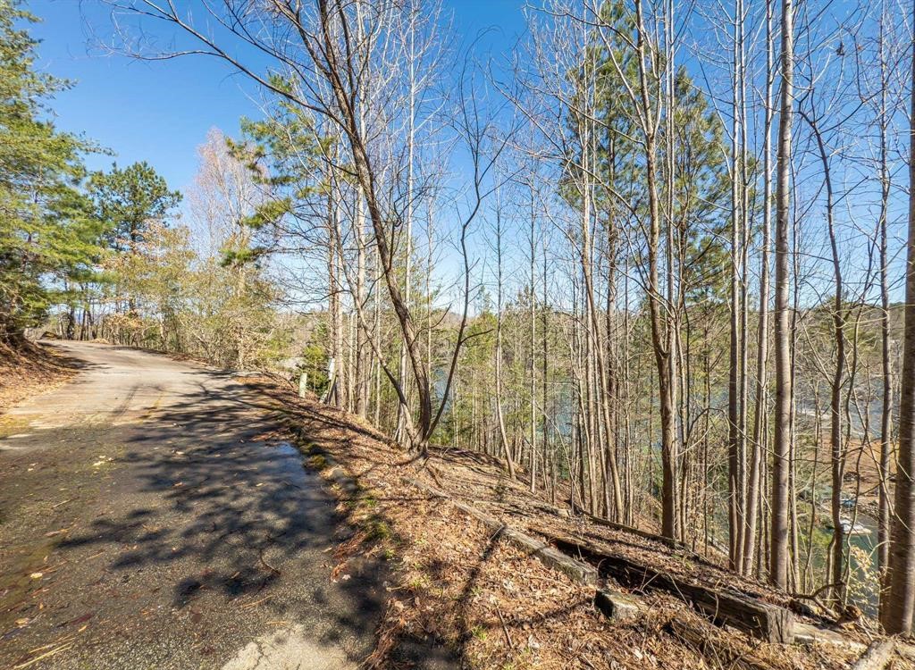 Sunset, South Carolina, 29685, United States, ,Land,For Sale,1896447