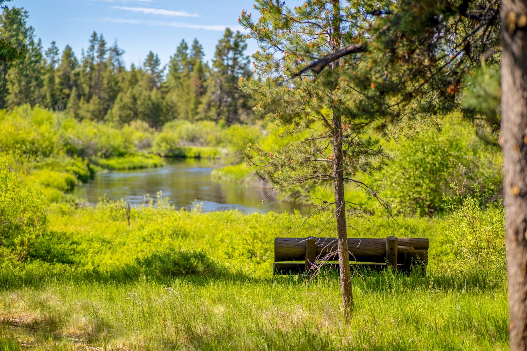  55855 Hashknife Road #18 Bend, OR 97707 - 物件實景