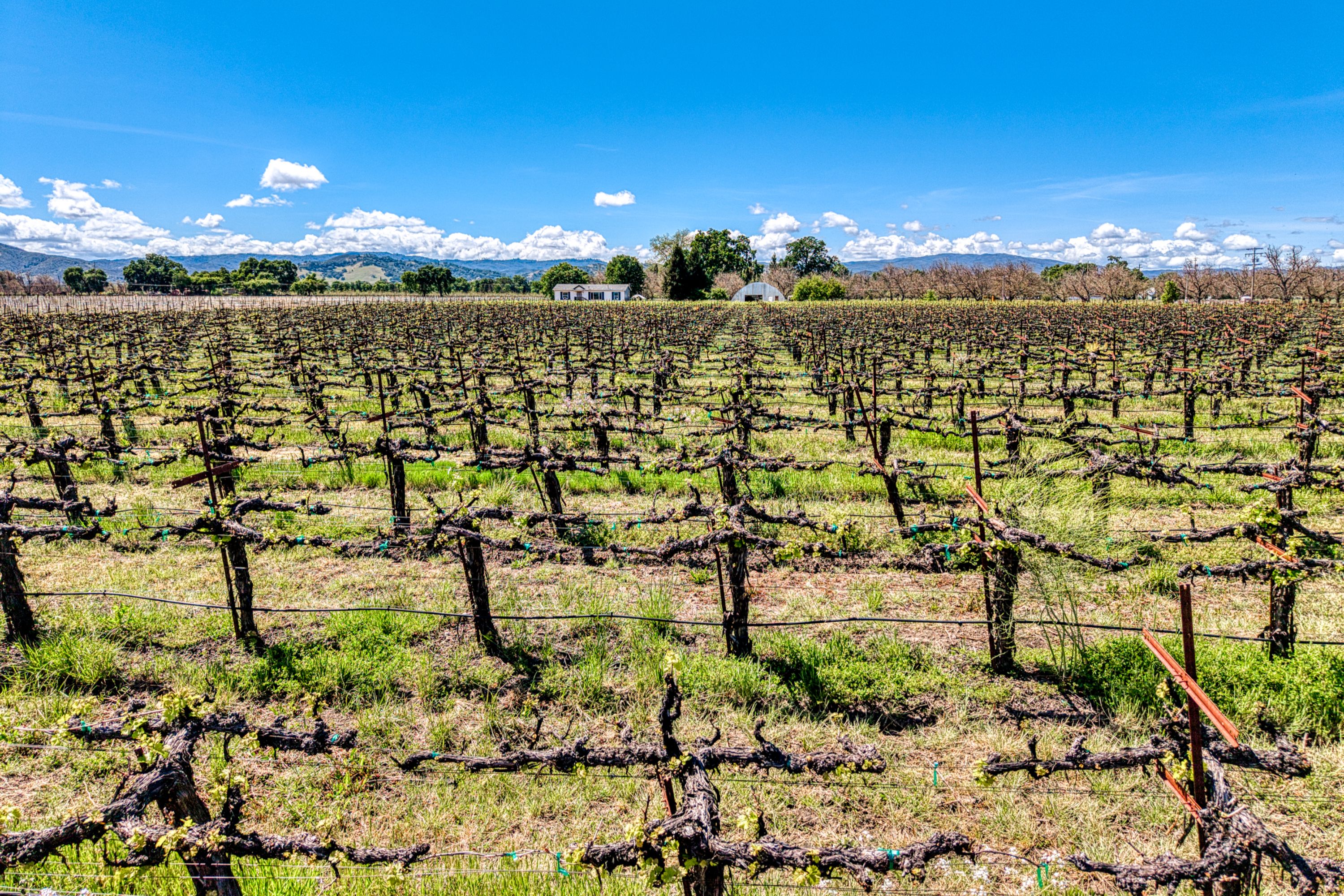  Lake County: The Place to Be - 物件實景