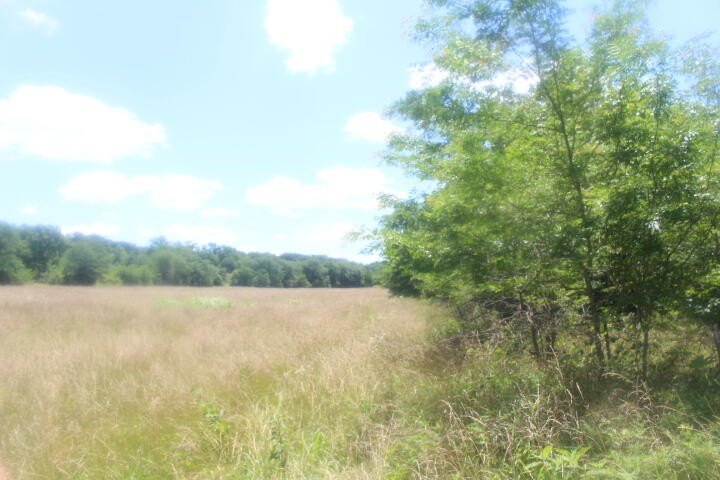 Polk, Missouri, 65727, United States, ,Land,For Sale,1980569
