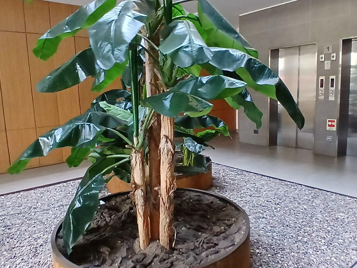 Providencia, Chile, 2 Bedrooms Bedrooms, ,2 BathroomsBathrooms,Residential,For Sale,1955057