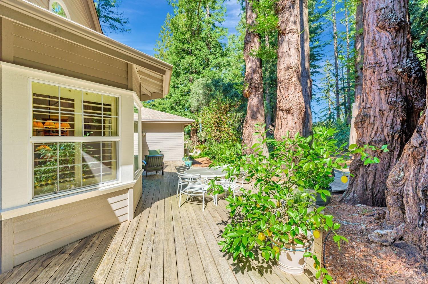 Sebastopol, California, 95472, United States, 4 Bedrooms Bedrooms, ,3 BathroomsBathrooms,Residential,For Sale,1989317