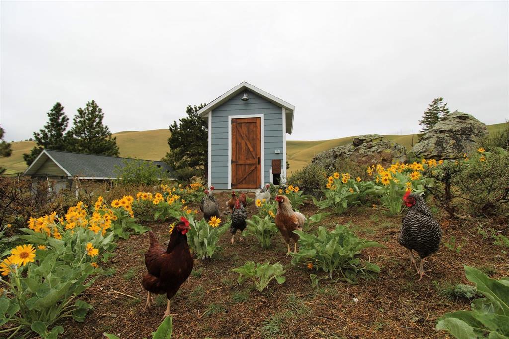 Helena, Montana, 59601, United States, 5 Bedrooms Bedrooms, ,4 BathroomsBathrooms,Residential,For Sale,2048262