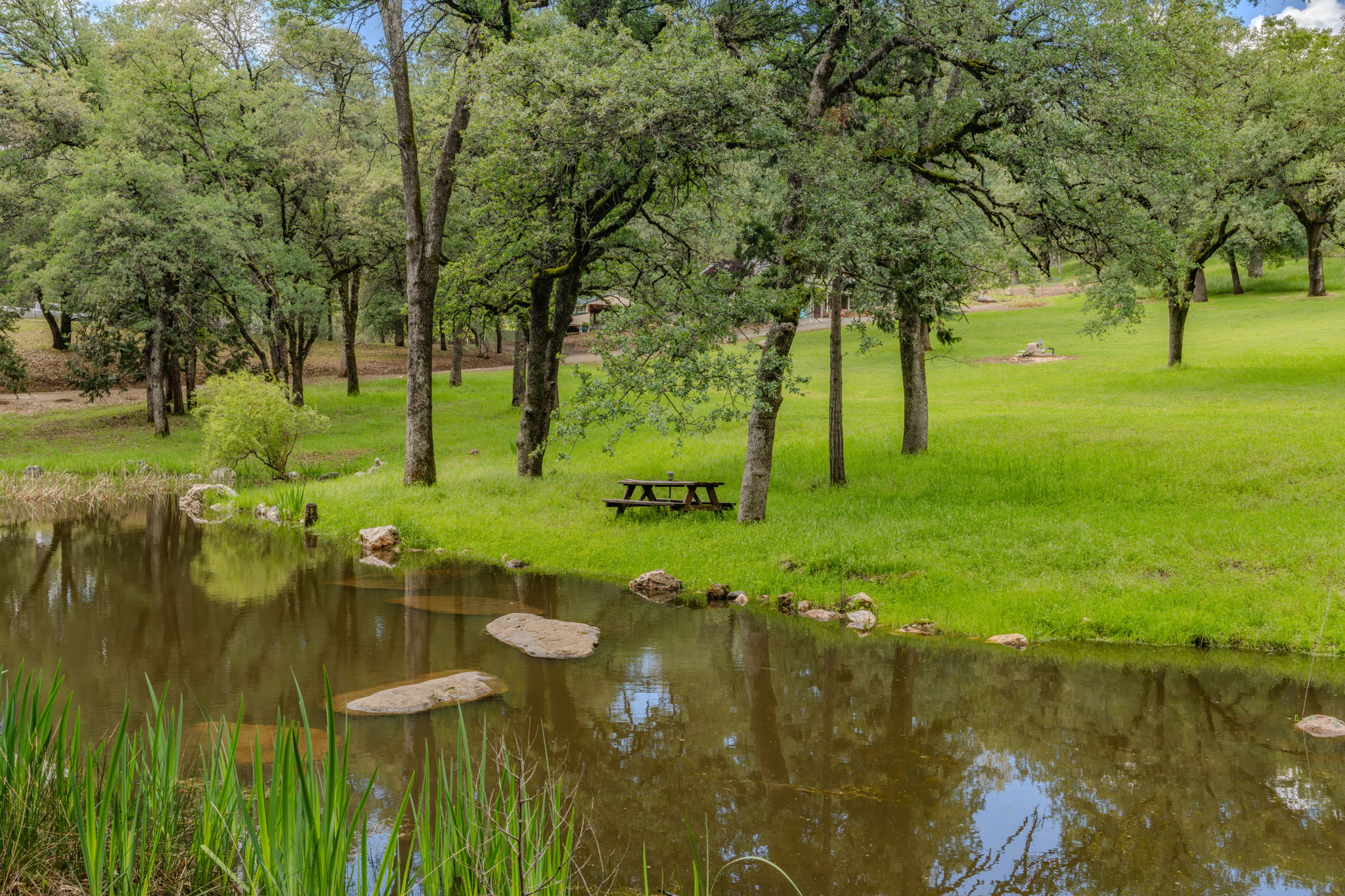  19351 Fiddletown Road, Fiddletown, CA 95629 - 物件實景