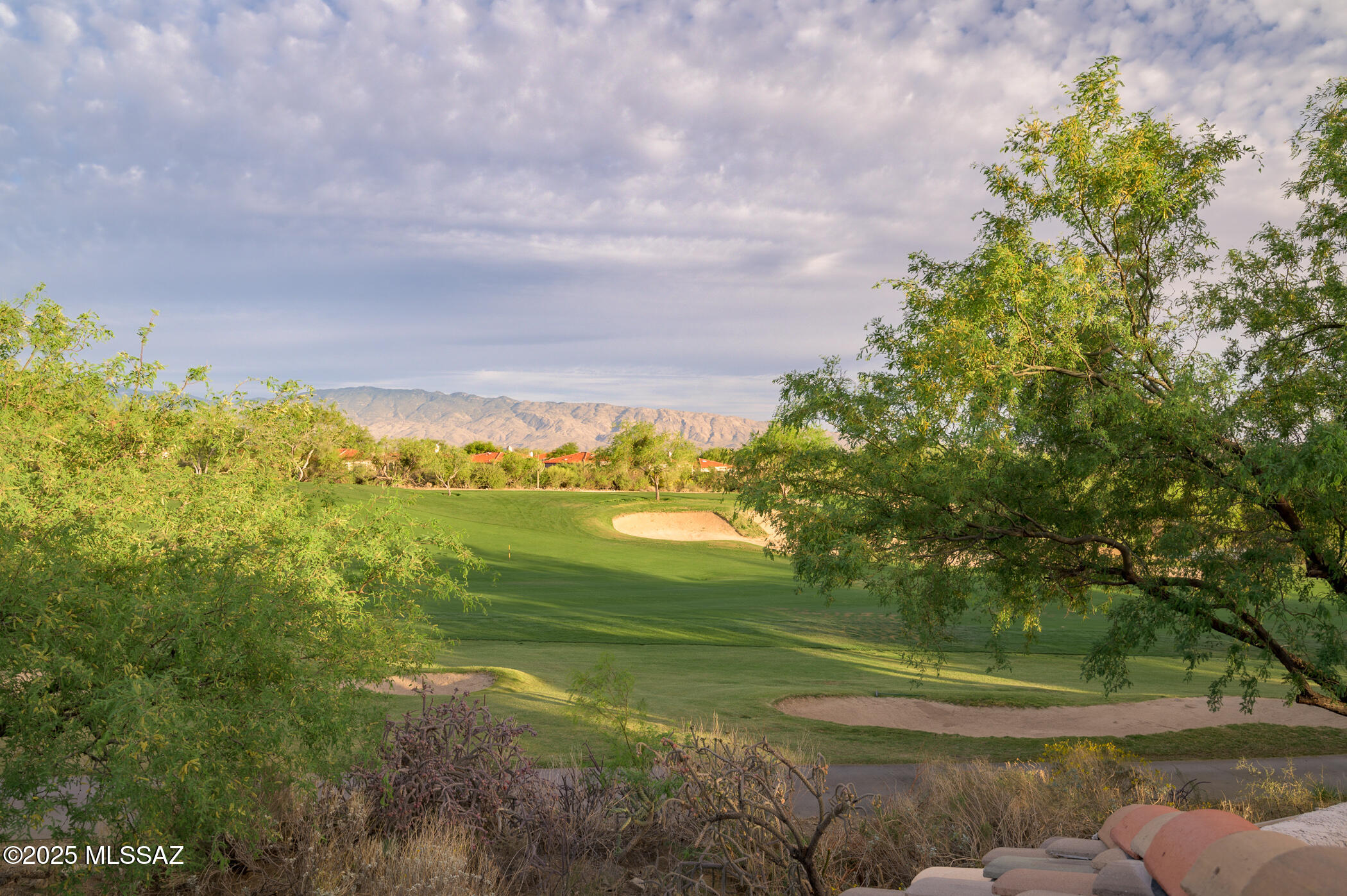 Tucson, Arizona, 85749, United States, 3 Bedrooms Bedrooms, ,3 BathroomsBathrooms,Residential,For Sale,1794562