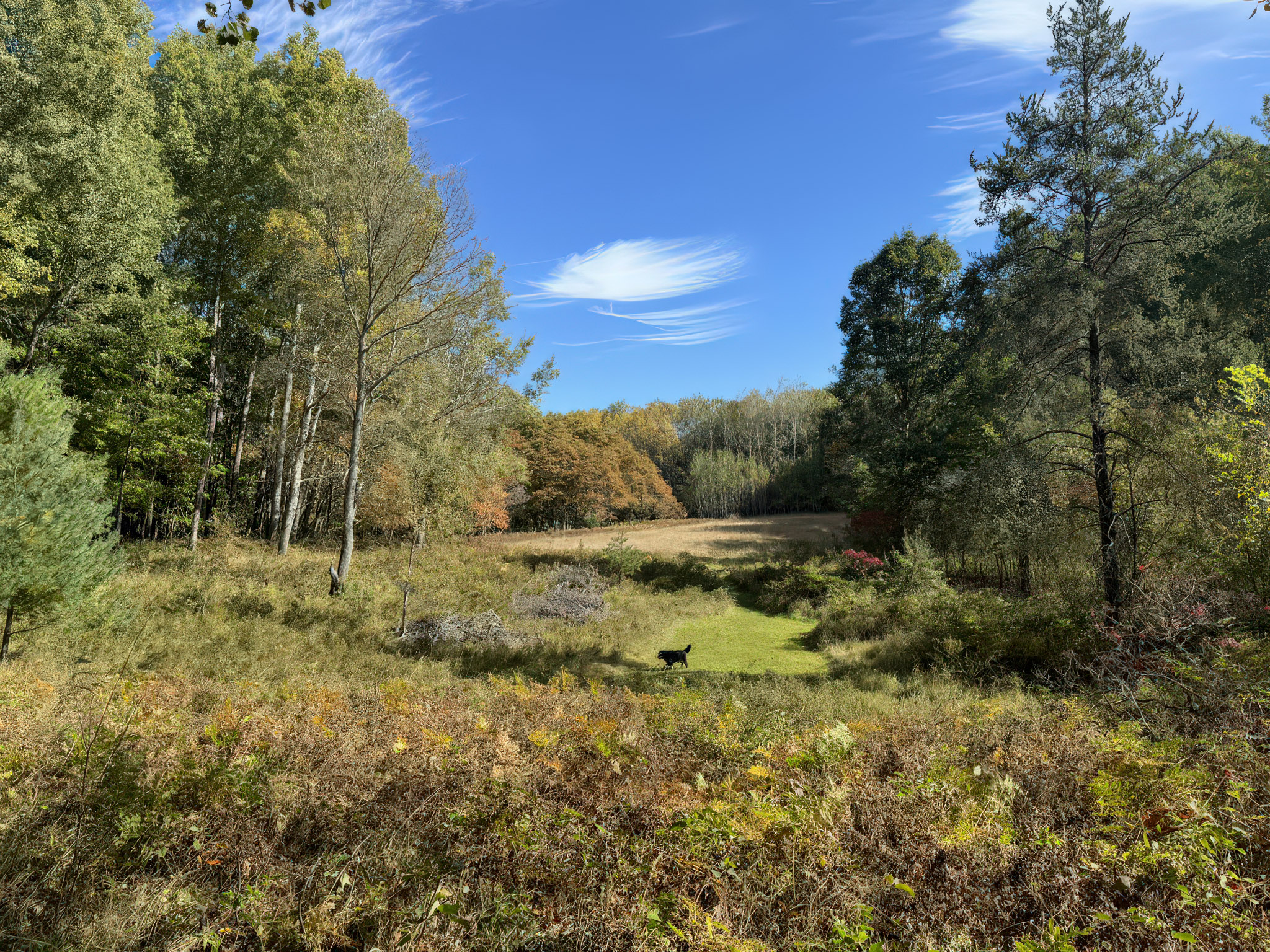 Branch, Michigan, 49402, United States, 1 Bedroom Bedrooms, ,1 BathroomBathrooms,Residential,For Sale,2001233