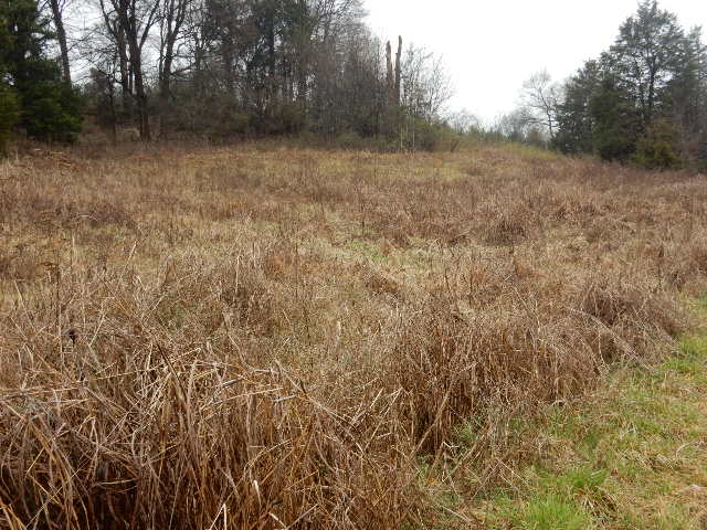 Clermont, Kentucky, 40110, United States, ,Land,For Sale,1980542