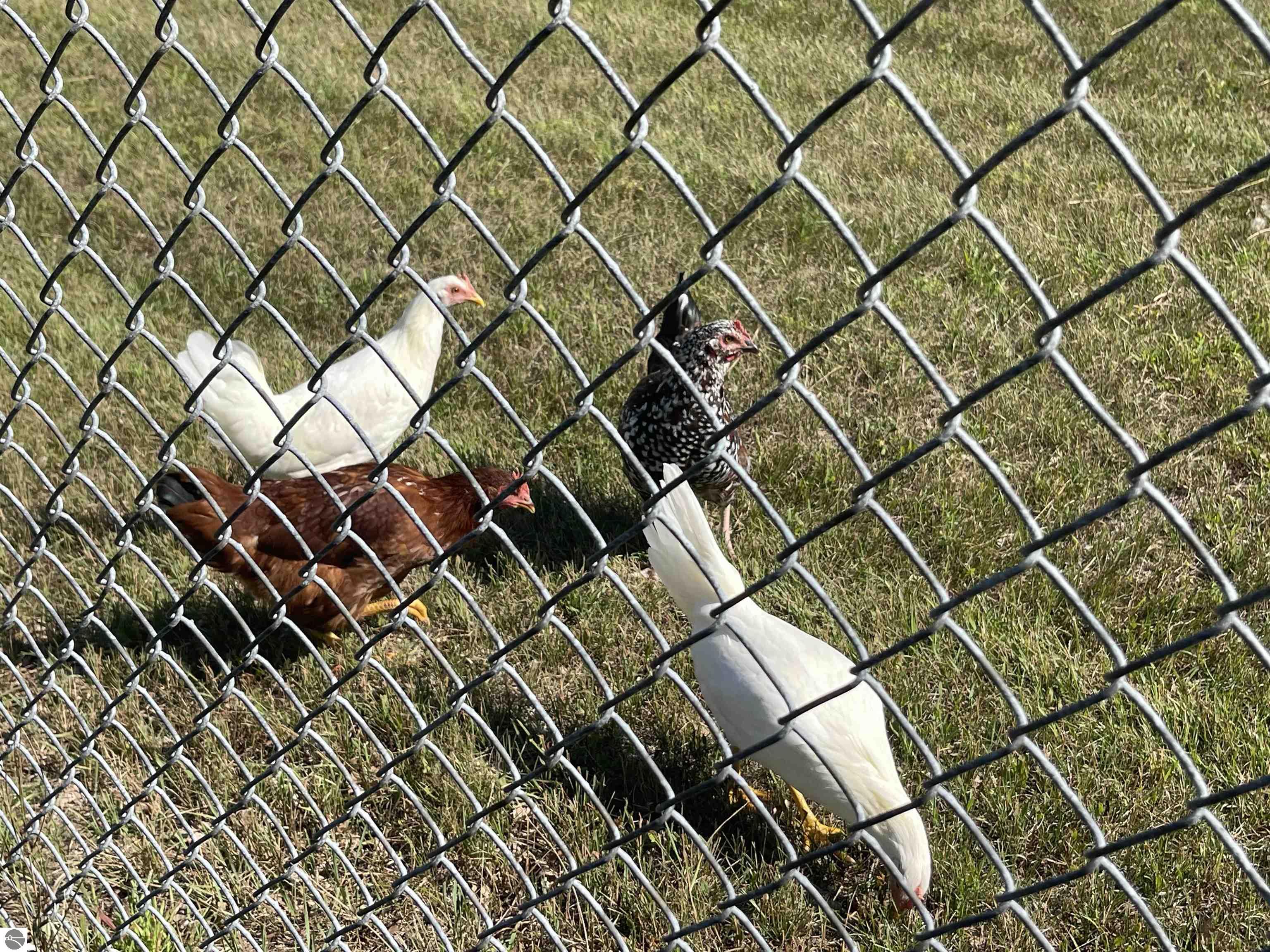 Harrison, Michigan, 48625, United States, 3 Bedrooms Bedrooms, ,3 BathroomsBathrooms,Residential,For Sale,1982691