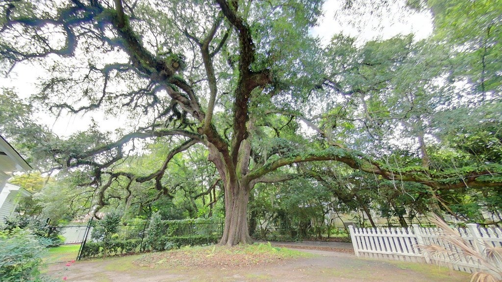 Thomasville, Georgia, 31792, United States, 3 Bedrooms Bedrooms, ,3 BathroomsBathrooms,Residential,For Sale,2005242