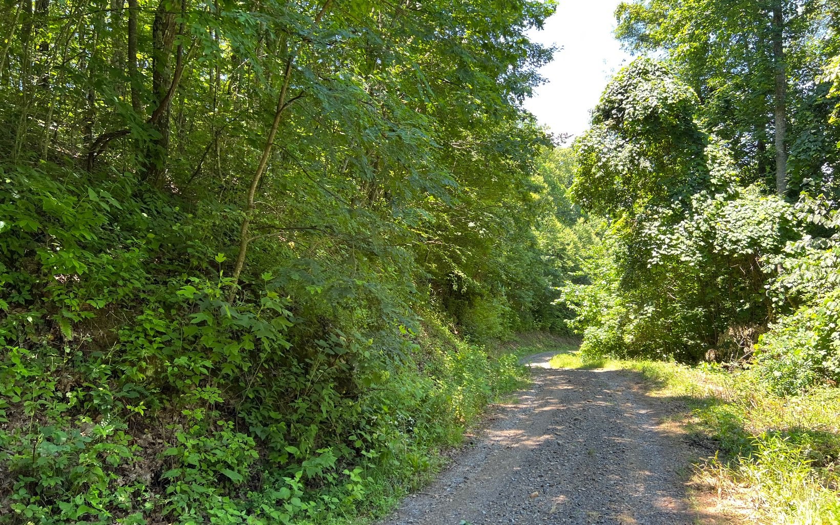101ac Lori'S Mountain, Hayesville, North Carolina, 28904, United States, ,Residential,For Sale,101ac Lori'S Mountain,1304629