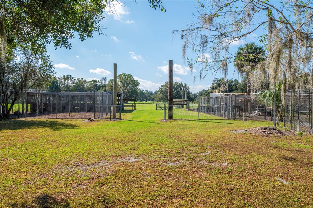 4911 W Sam Allen Road, Plant City, Florida, 33565, United States, 5 Bedrooms Bedrooms, ,3 BathroomsBathrooms,Residential,For Sale,4911 W Sam Allen Road,1672218