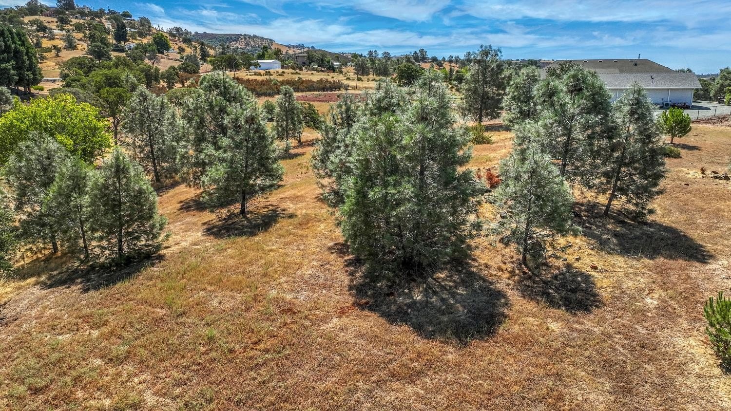 Valley Springs, California, 95252, United States, 3 Bedrooms Bedrooms, ,4 BathroomsBathrooms,Residential,For Sale,1981868