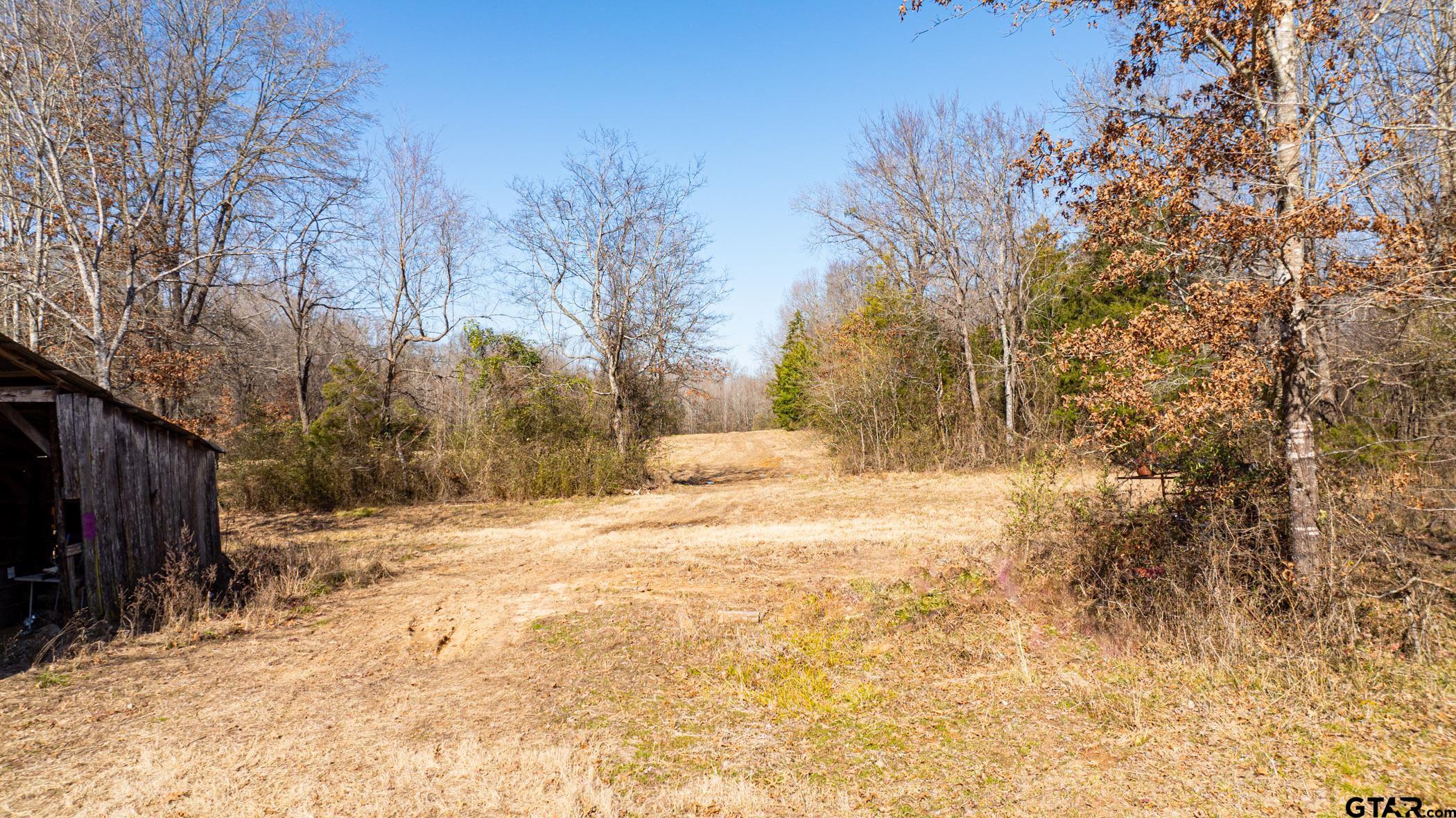 Dekalb, Texas, 75559, United States, ,Land,For Sale,1983481