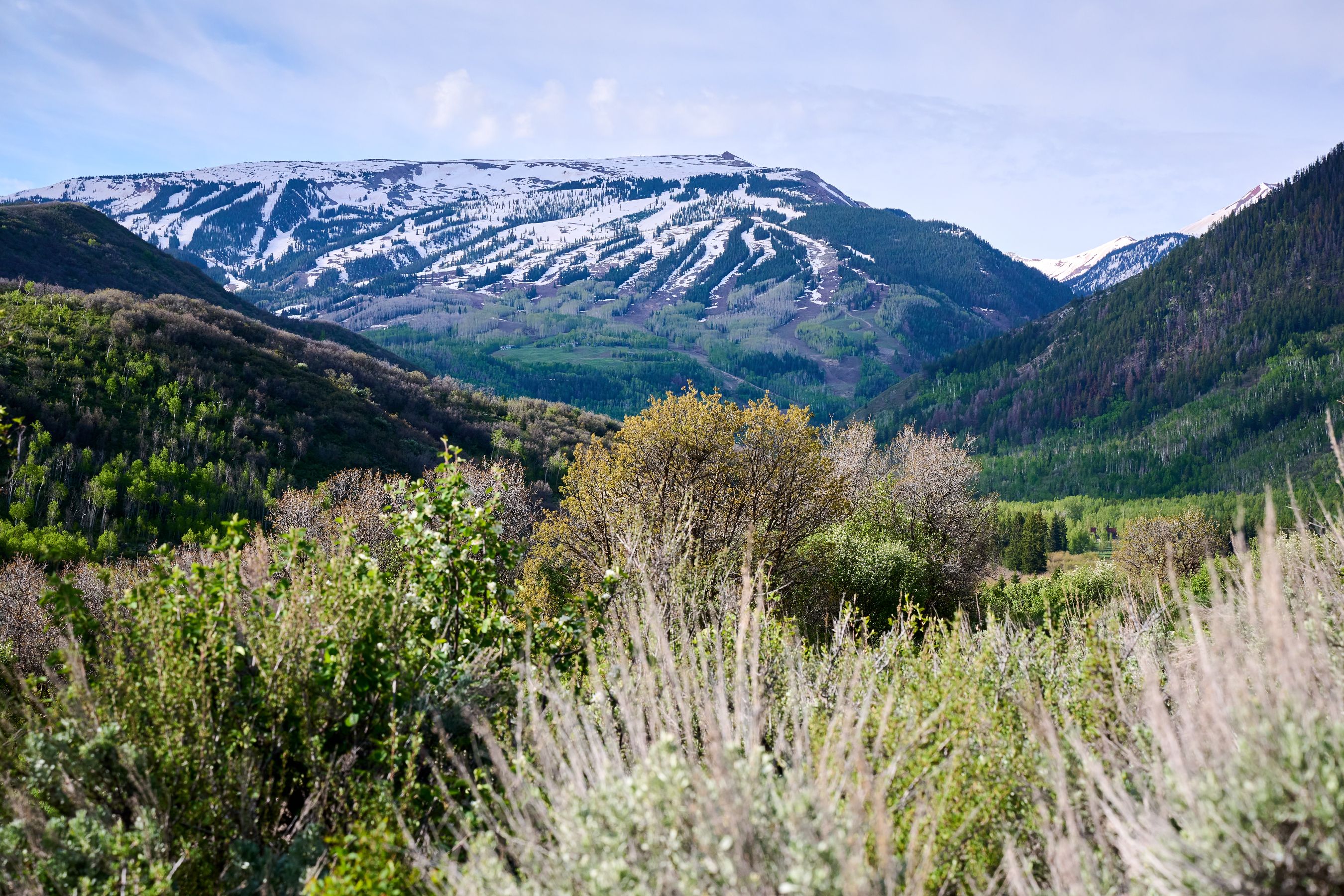  51 Shield O Road, Snowmass, CO, 81654 - 物件實景