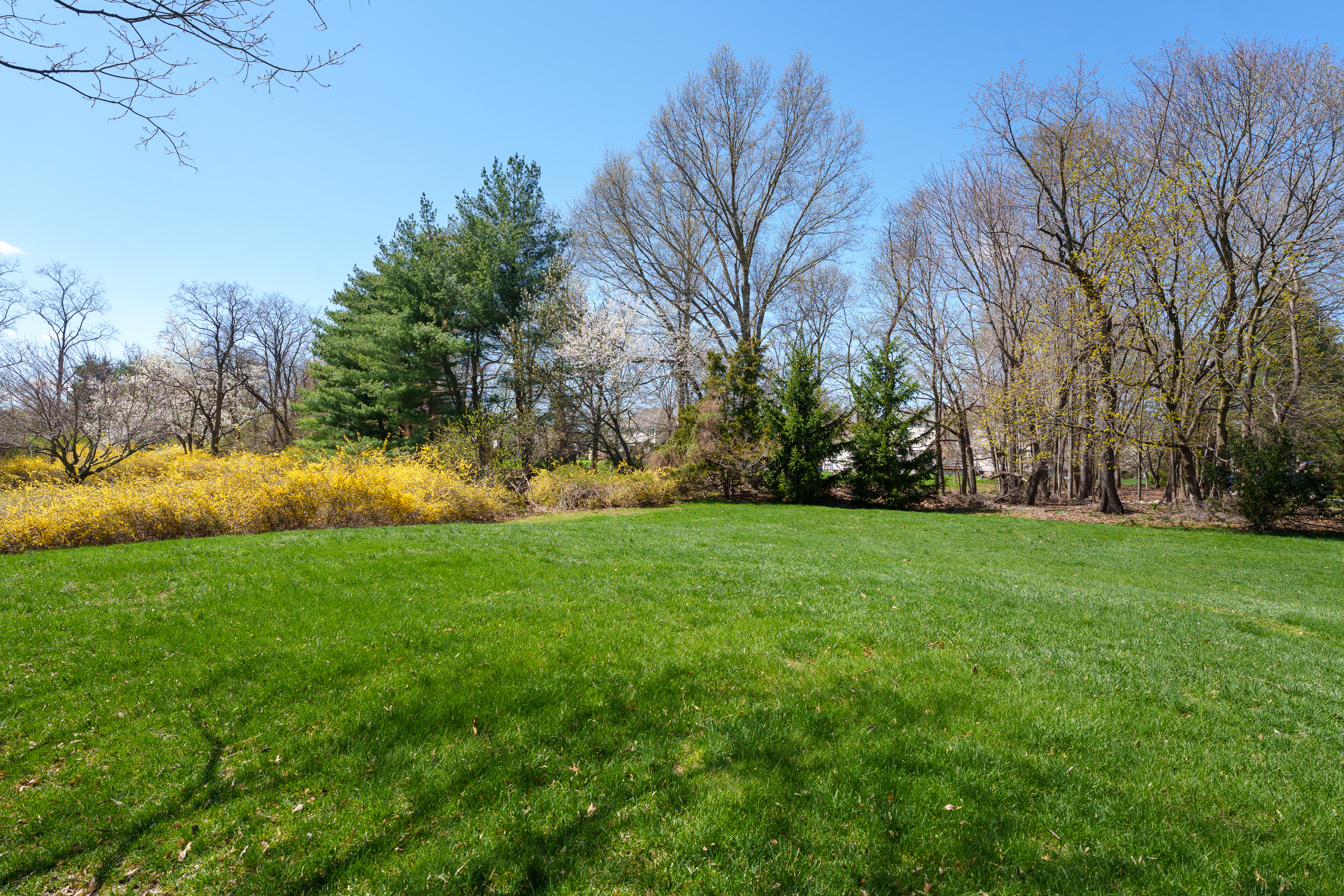  Elevated Living in Belle Mead - 物件實景