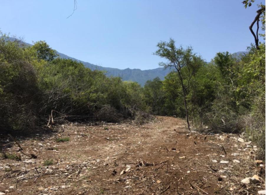 barrial, Santiago, Nuevo León, 67303, Mexico, 1 Bedroom Bedrooms, ,Residential,For Sale,barrial,1626355