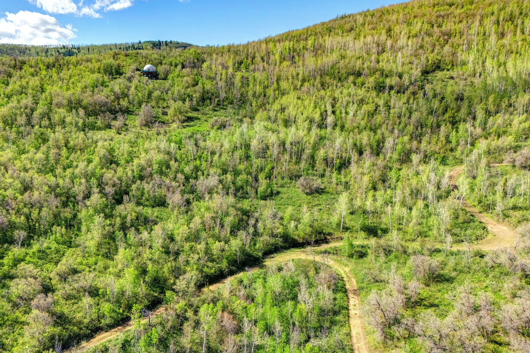  Wooded 5 acres No HOA - 物件實景