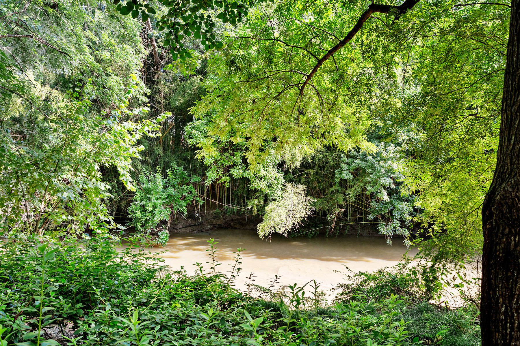  Incredible Opportunity to Create Your Dream Home in Buckhead - 物件實景