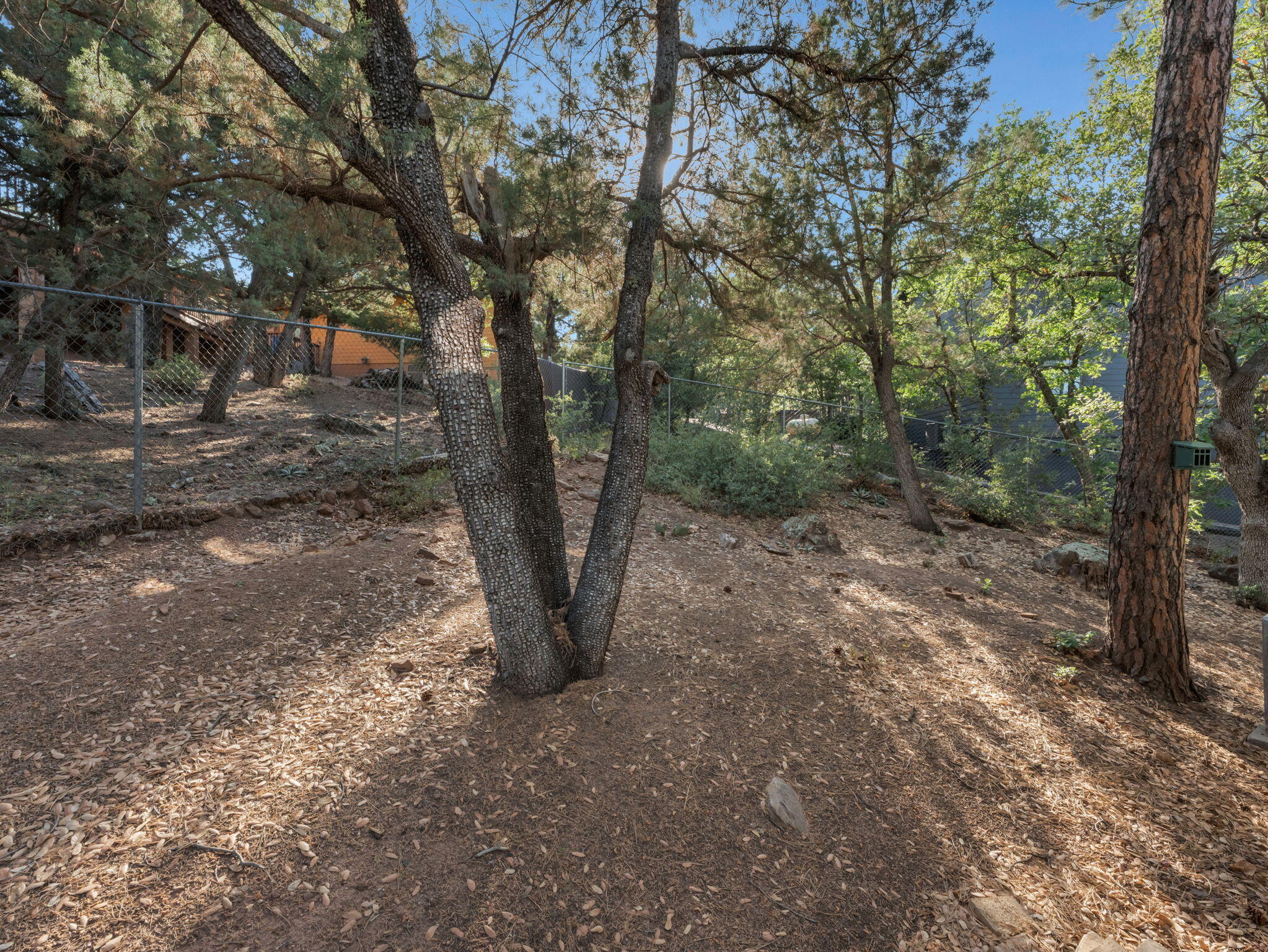Pine, Arizona, 85544, United States, 3 Bedrooms Bedrooms, ,1 BathroomBathrooms,Residential,For Sale,1862408