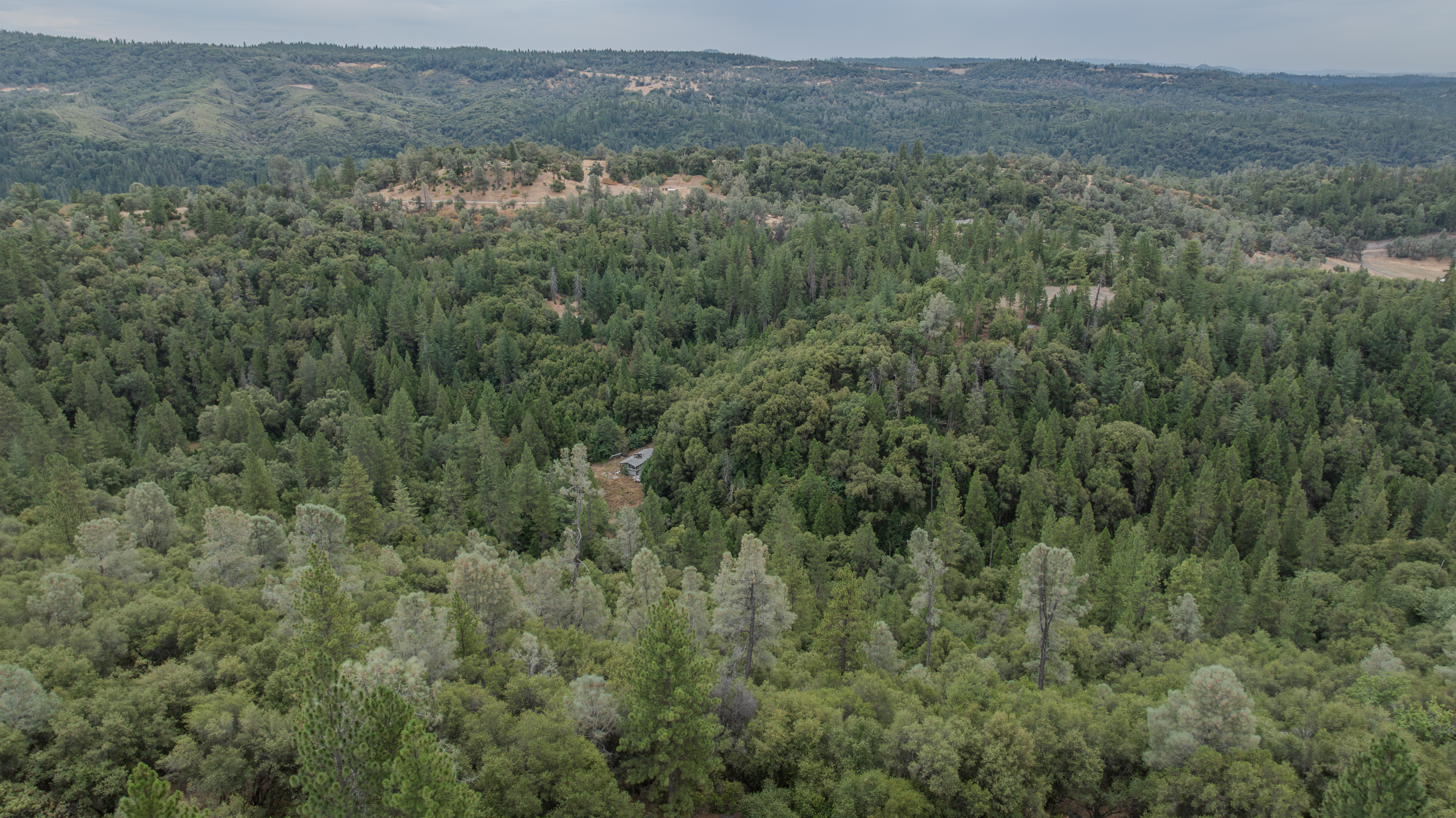  18101 Old River Road, Fiddletown, CA 95629 - 物件實景