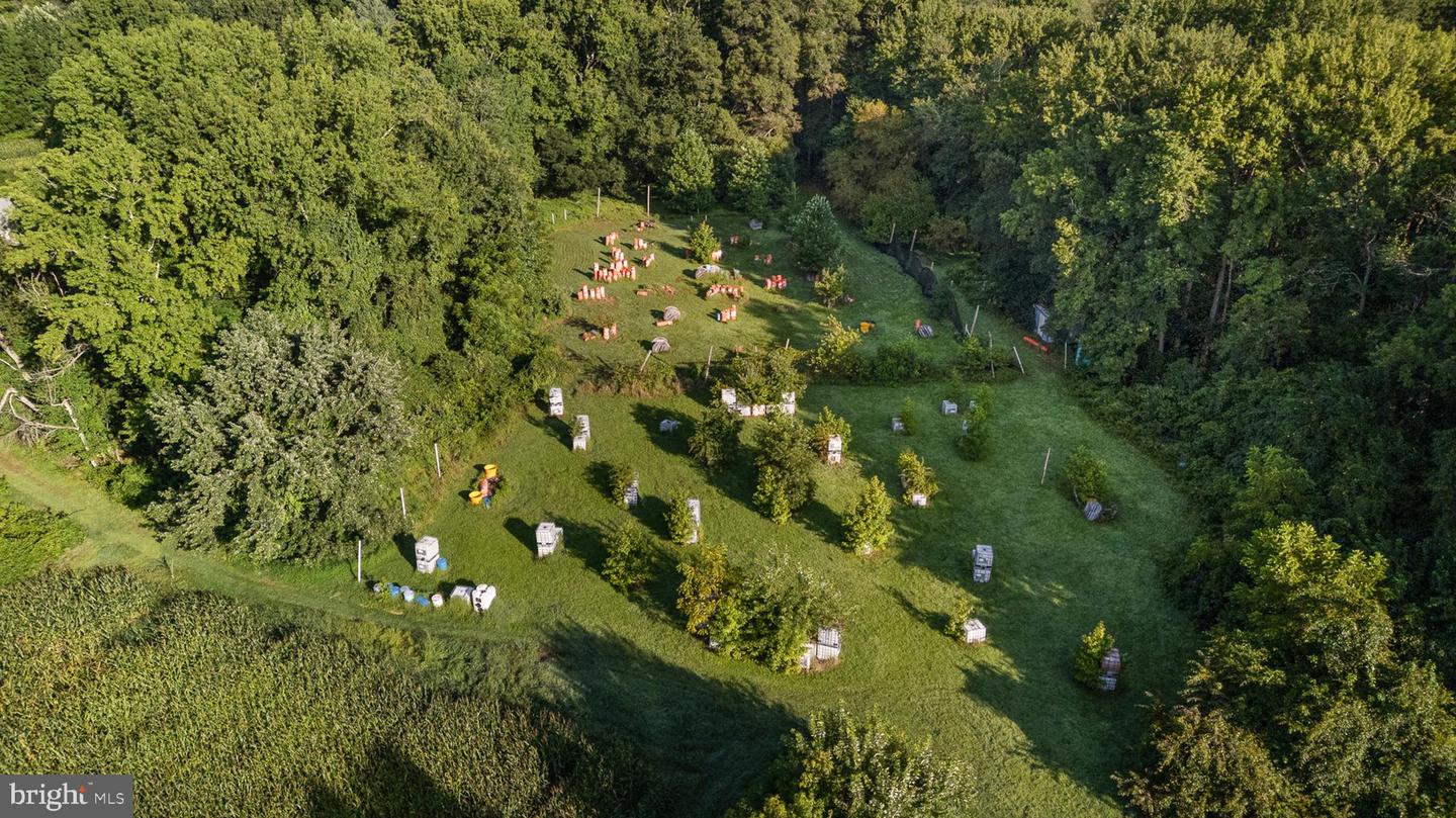 BEAR, Delaware, 19701, United States, ,Land,For Sale,1988849