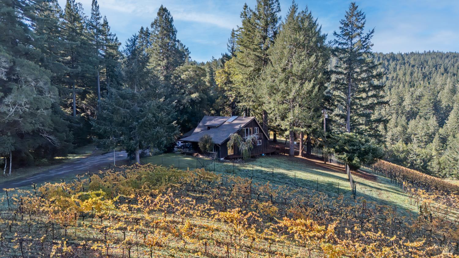 Philo, California, 95466, United States, 3 Bedrooms Bedrooms, ,3 BathroomsBathrooms,Residential,For Sale,1987364