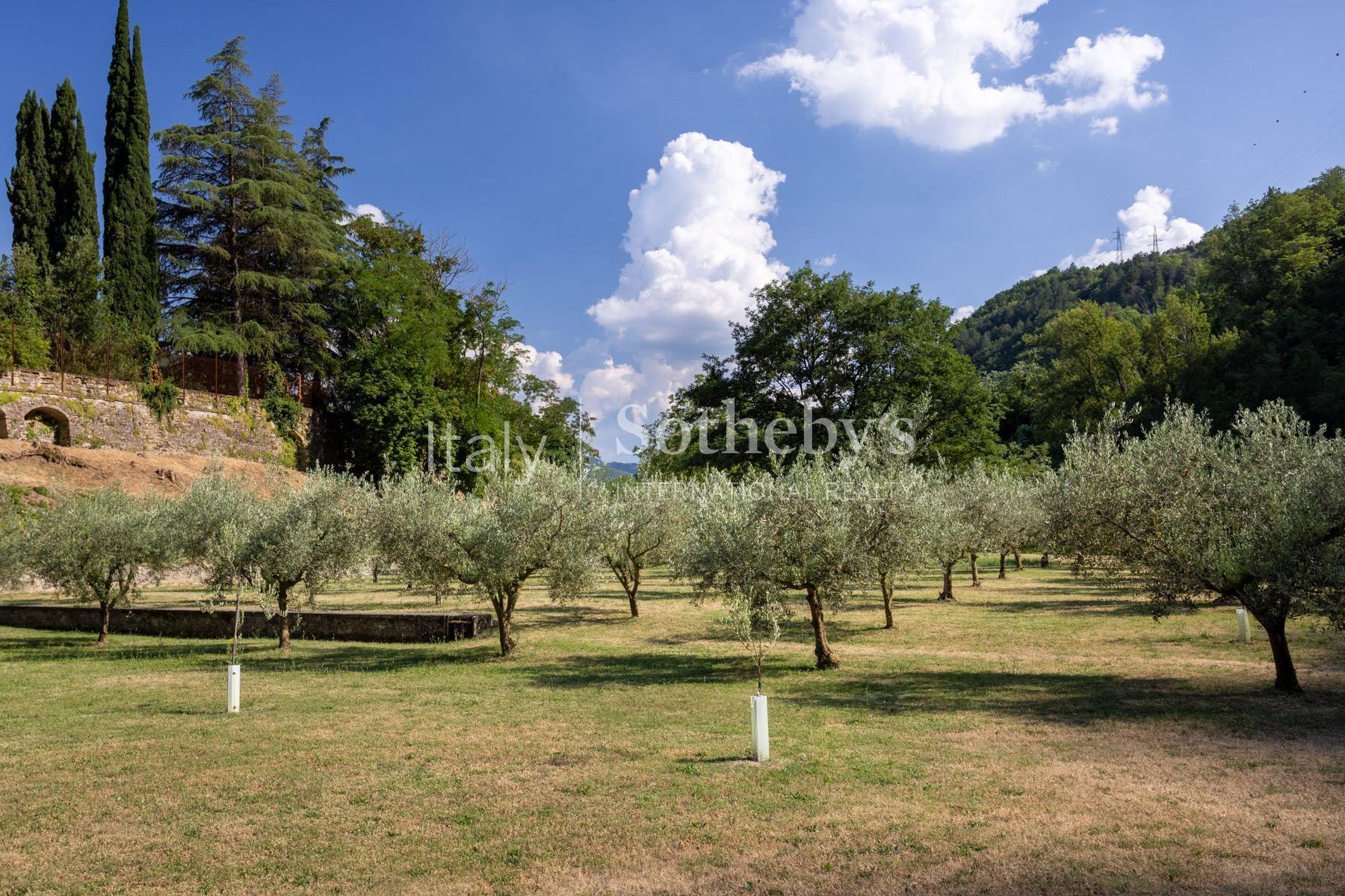  Villa with guest house and private park in the heart of Romagna - 物件實景