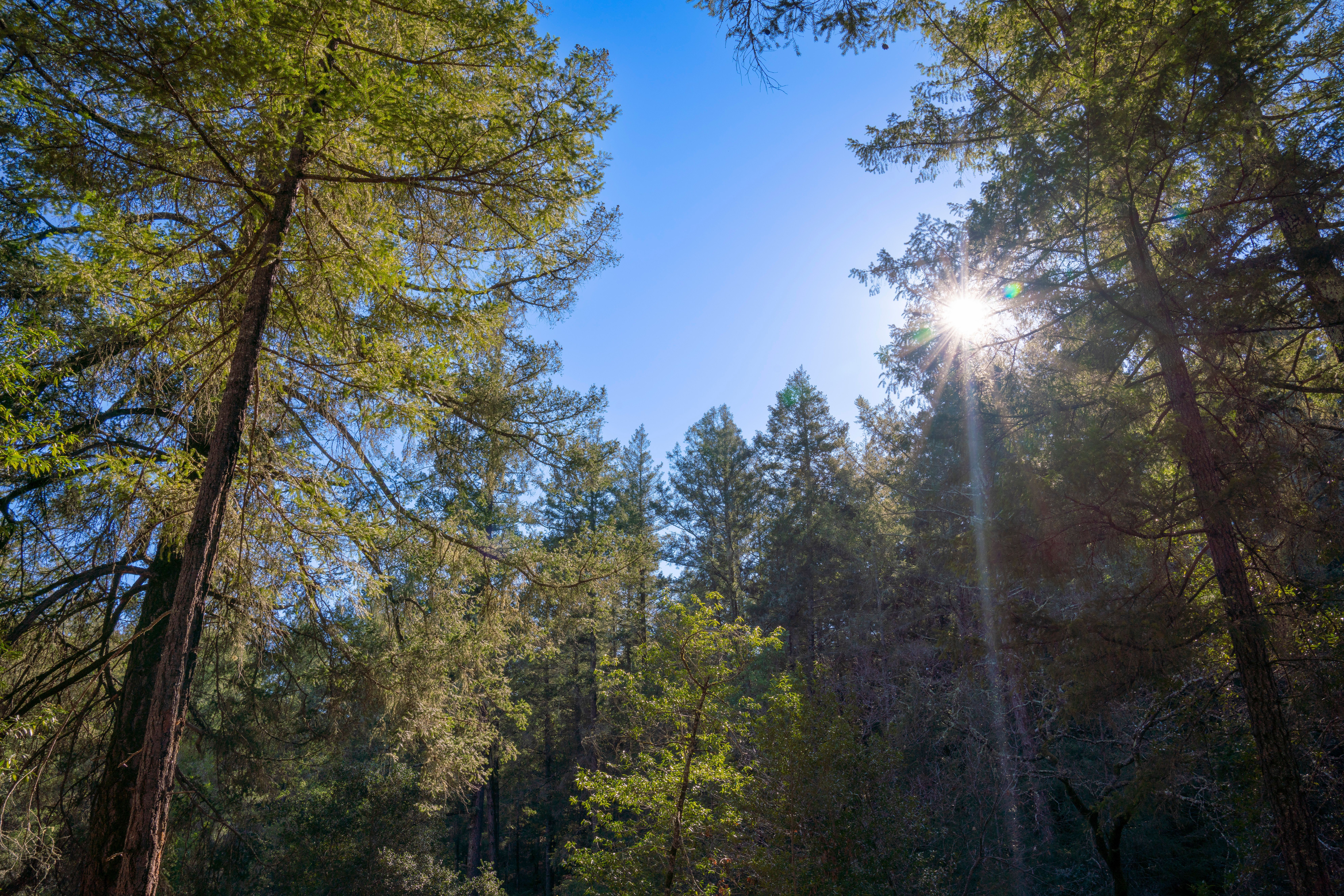  3210 West Dry Creek Road, Healdsburg, CA 95448 - 物件實景