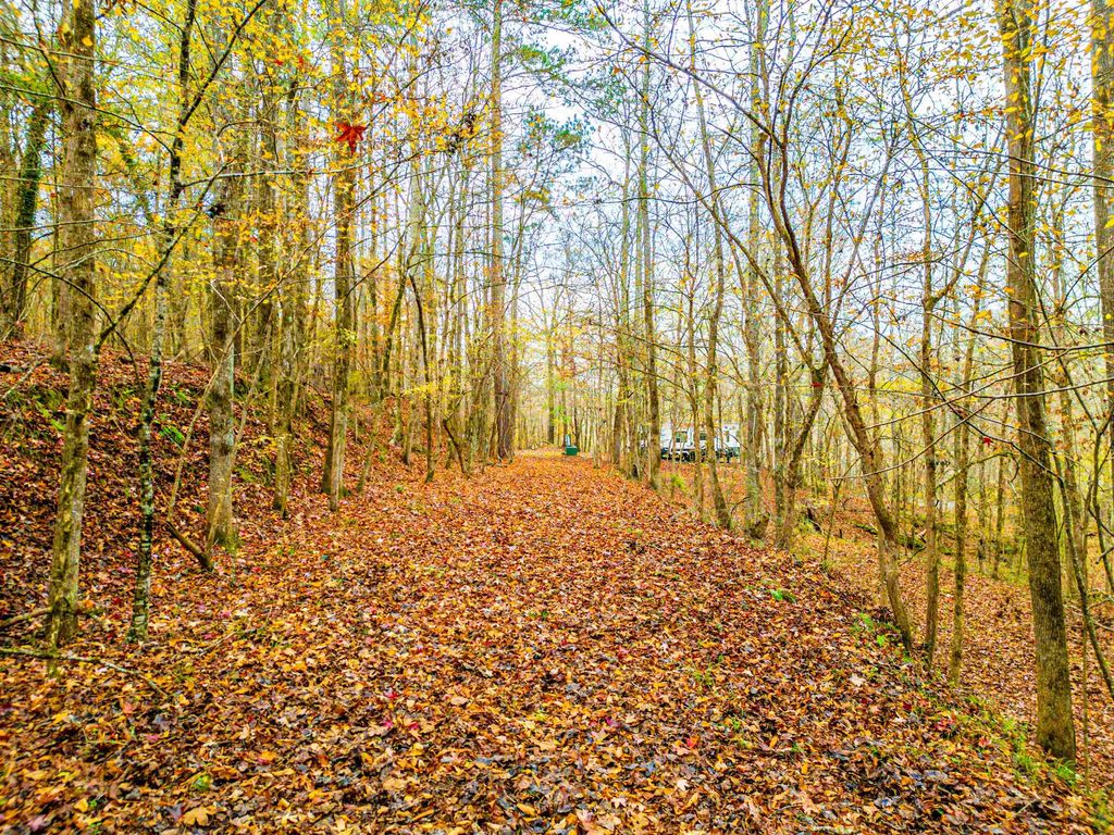 6.04 ac LINCHBURG ROAD, Eatonton, Georgia, 31024, United States, ,Land,For Sale,6.04 ac LINCHBURG ROAD,1683255