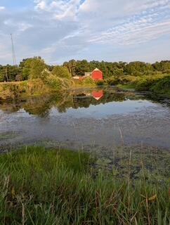 Fennville, Michigan, 49408, United States, ,Land,For Sale,1865196