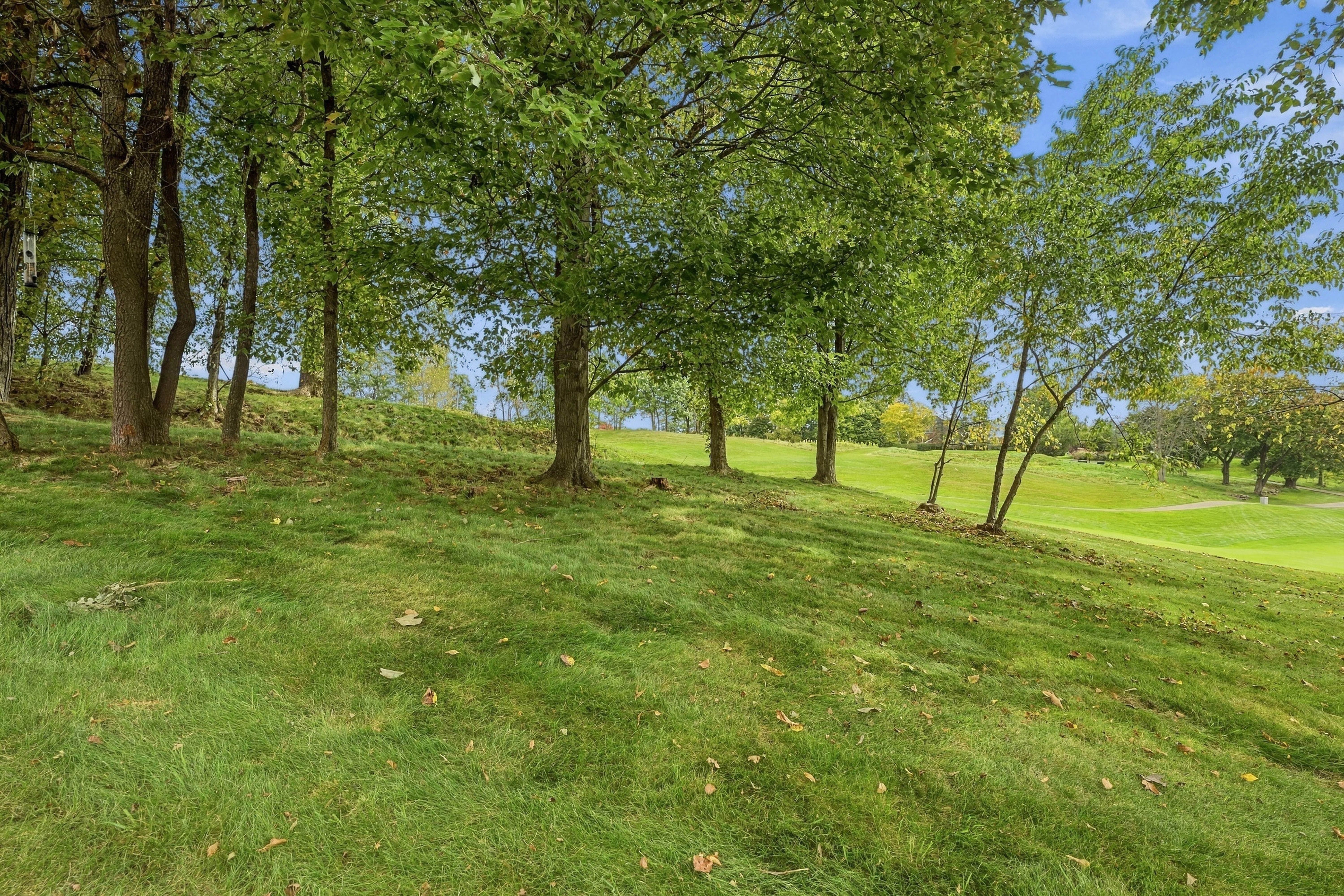  229 Cypress Knoll Drive, Sewickley, PA 15143 - 物件實景
