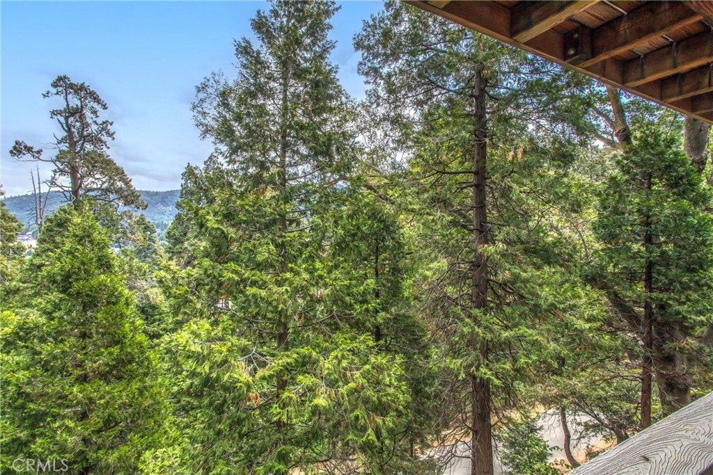 Crestline, California, 92325, United States, 3 Bedrooms Bedrooms, ,4 BathroomsBathrooms,Residential,For Sale,1836283