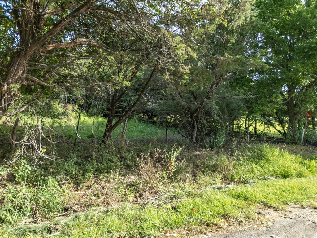 Rio Vista, Texas, 76093, United States, ,Land,For Sale,1976732