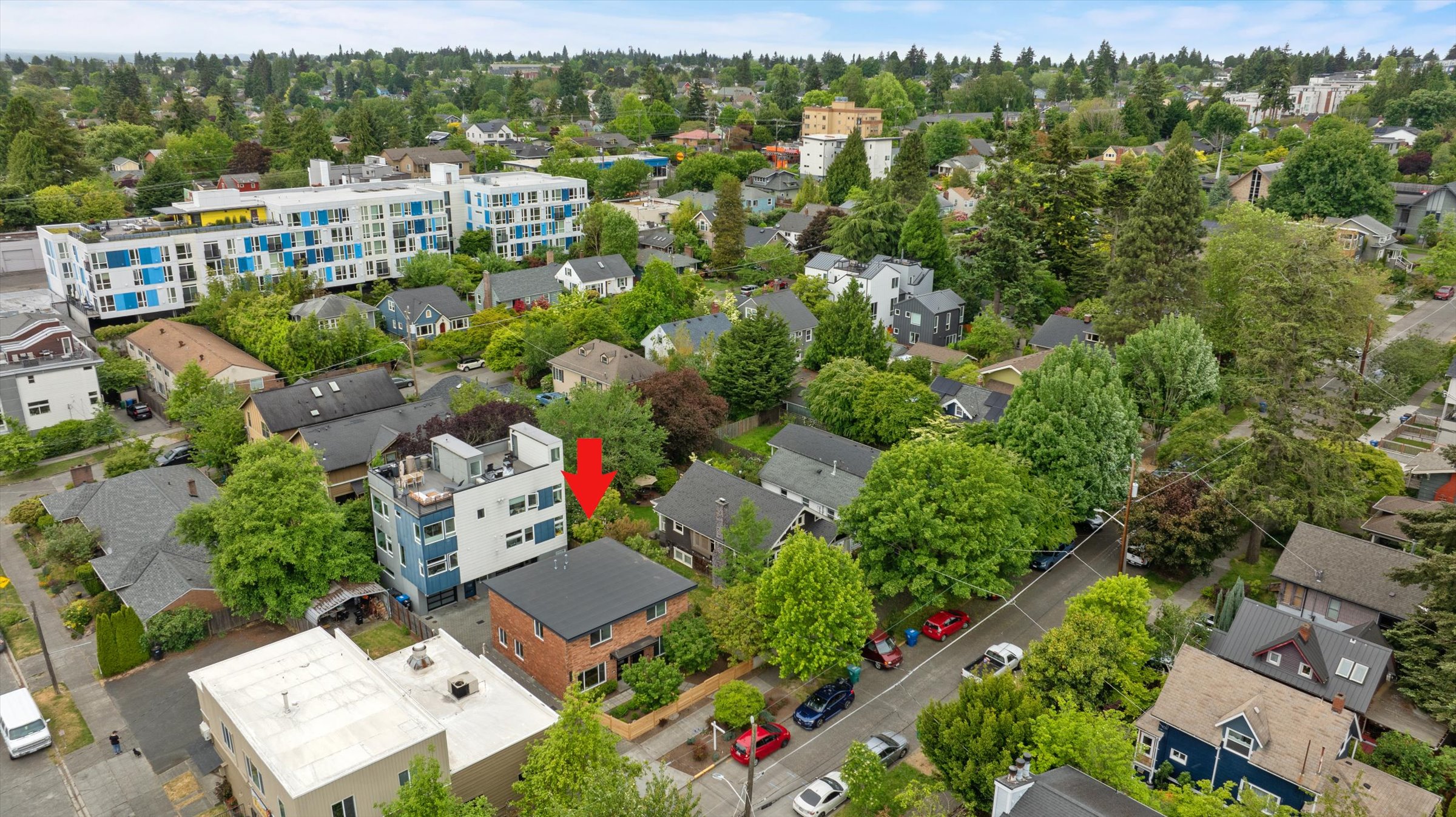  7007 Alonzo Ave NW, Seattle, WA 98117 - 物件實景