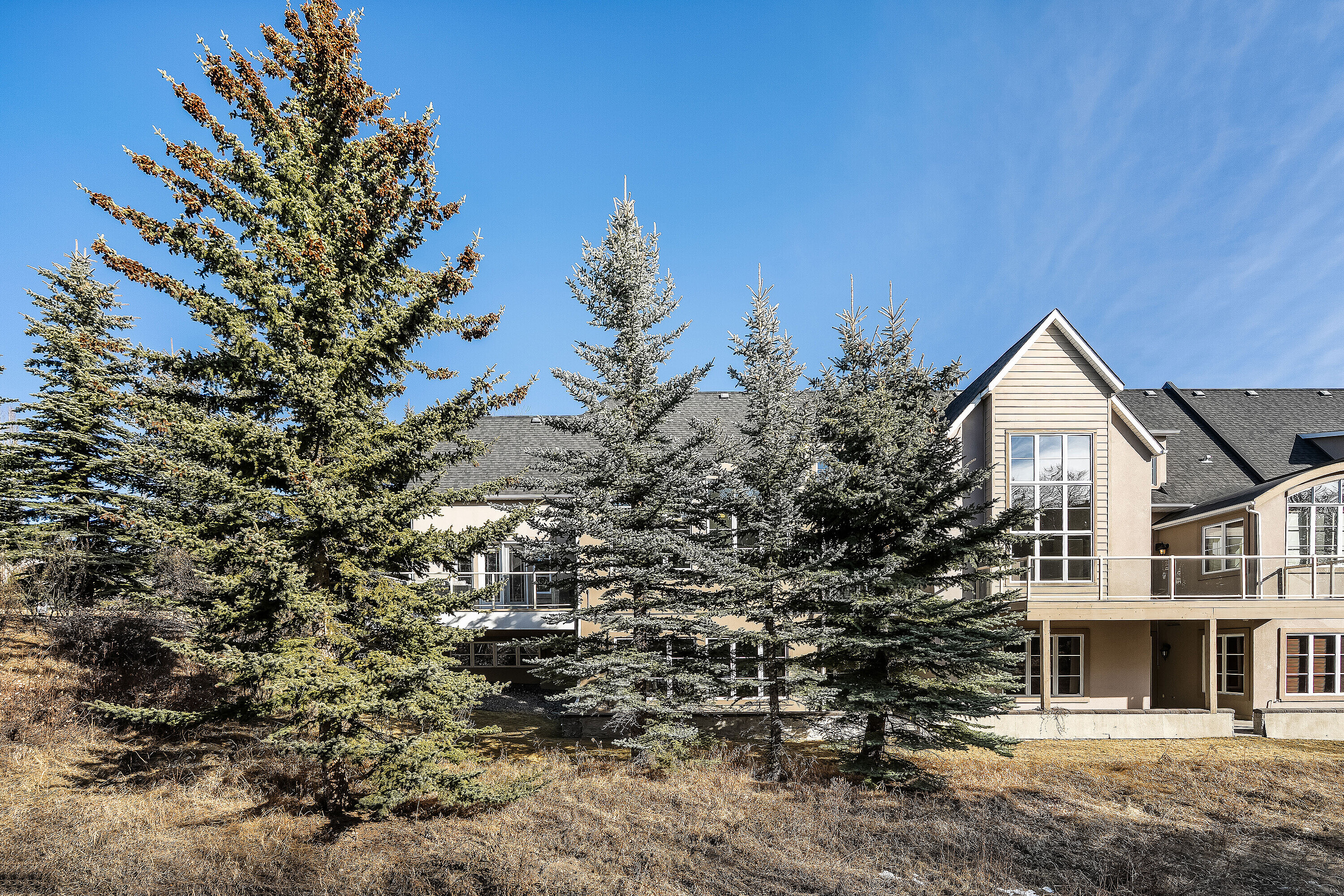  Calgary, Calgary and Foothills - 物件實景