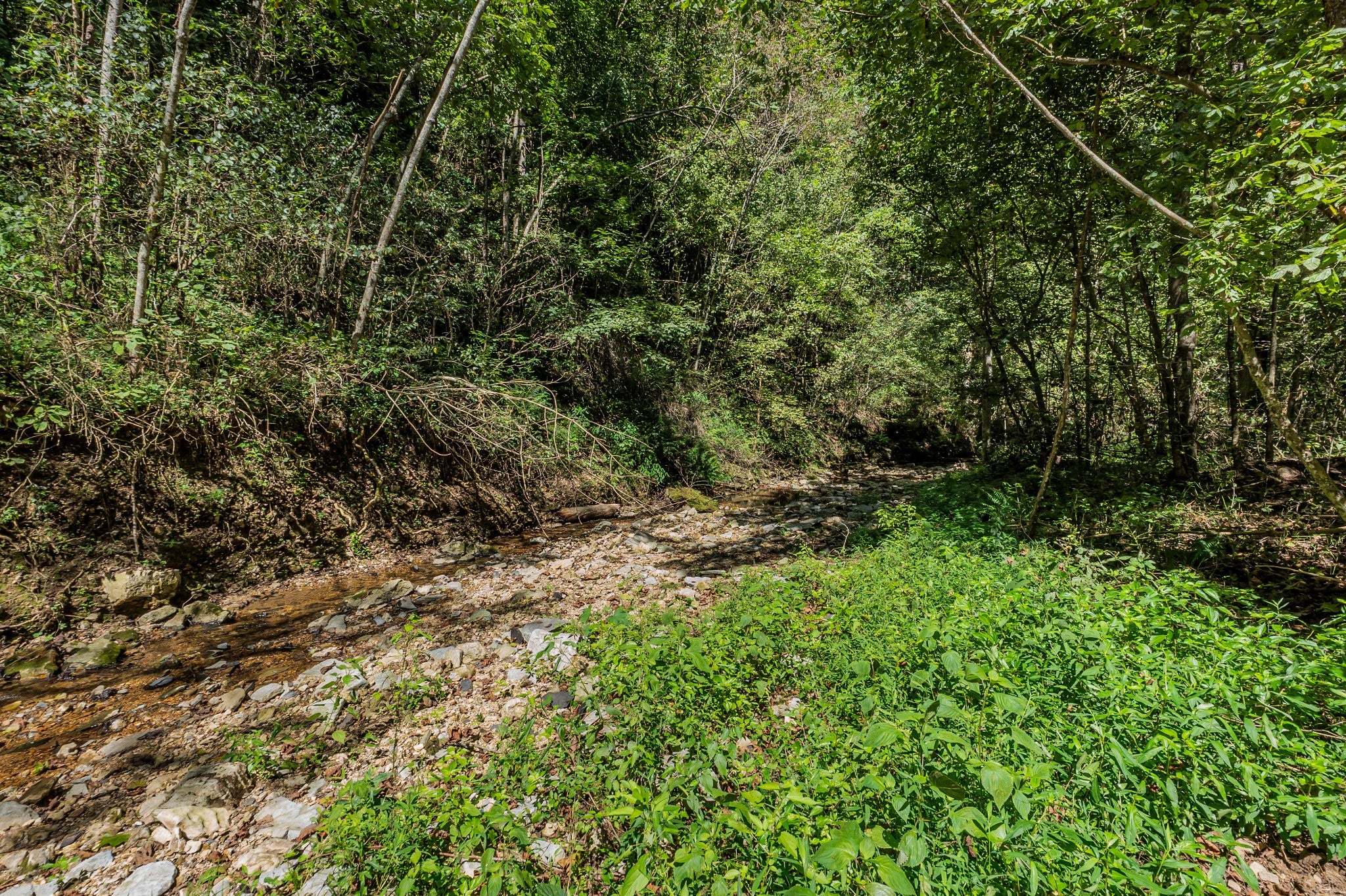 Smithville, Tennessee, 37166, United States, ,Land,For Sale,2006607