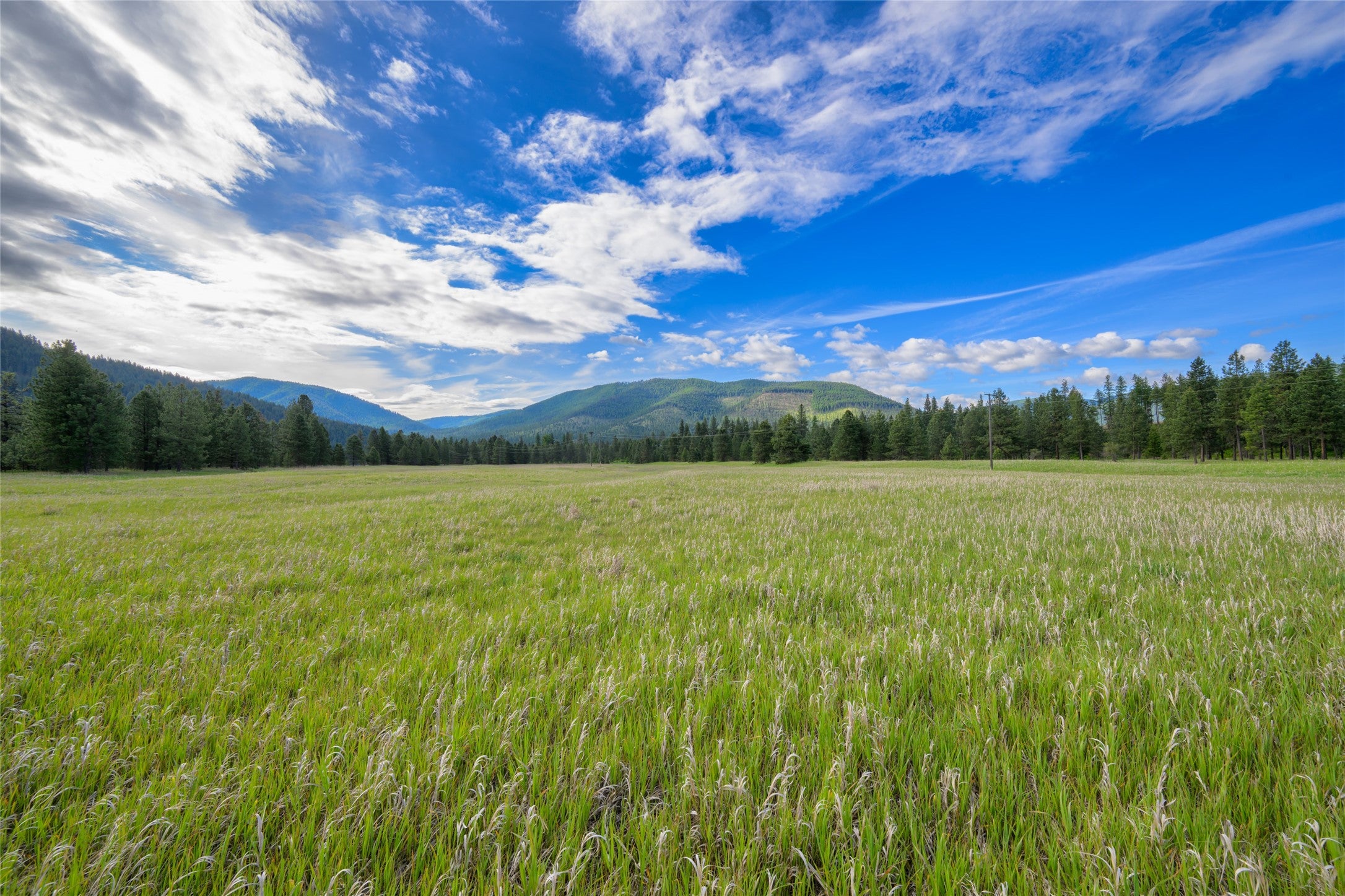 St Regis, Montana, 59866, United States, ,Land,For Sale,1848990