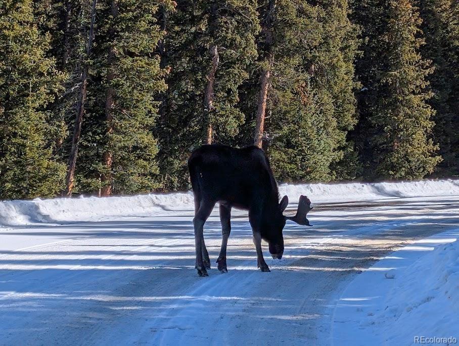 Georgetown, Colorado, 80444, United States, 2 Bedrooms Bedrooms, ,1 BathroomBathrooms,Residential,For Sale,1992170