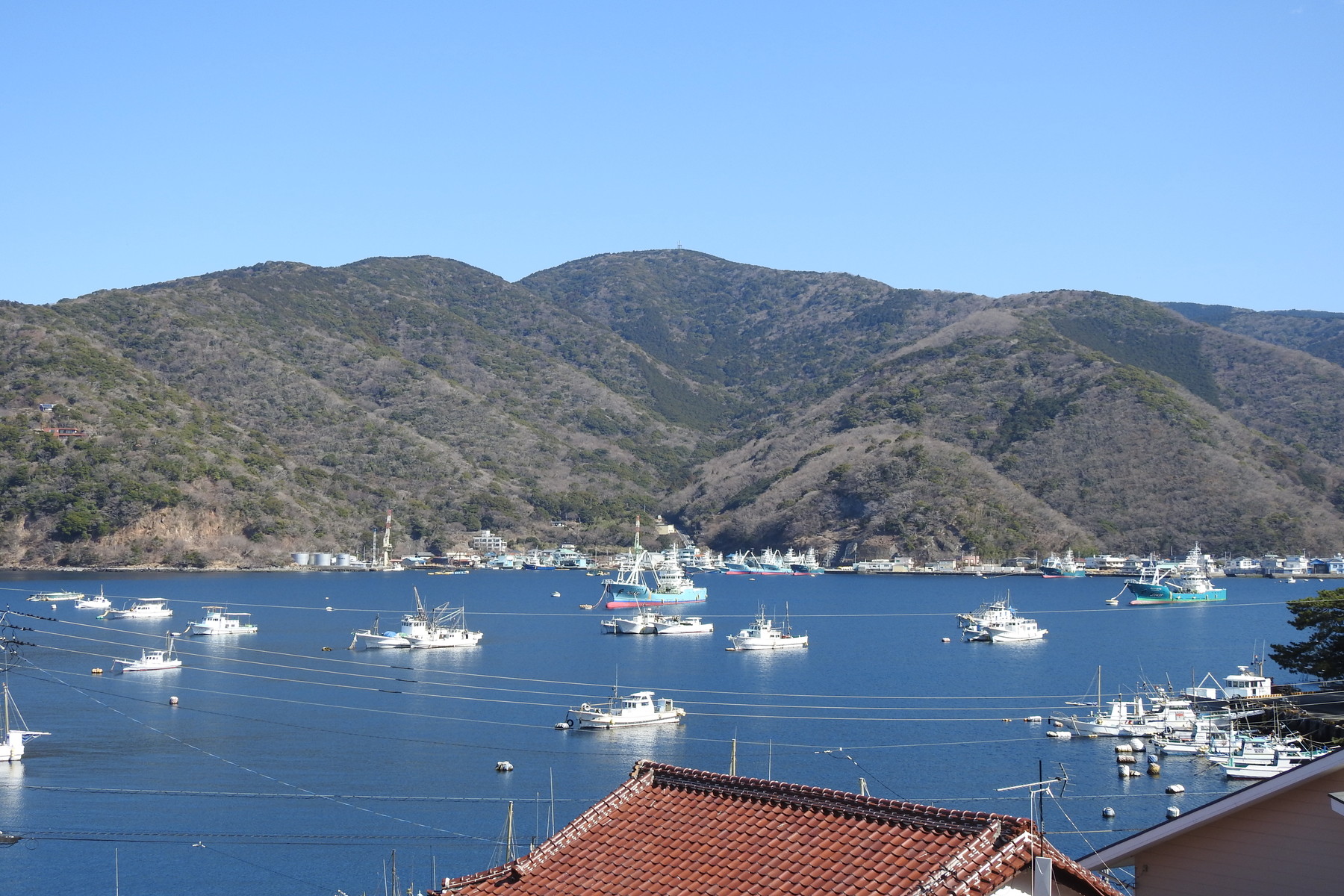  SPRINGS VILLAGE IZU CLUB RESORT - 物件實景