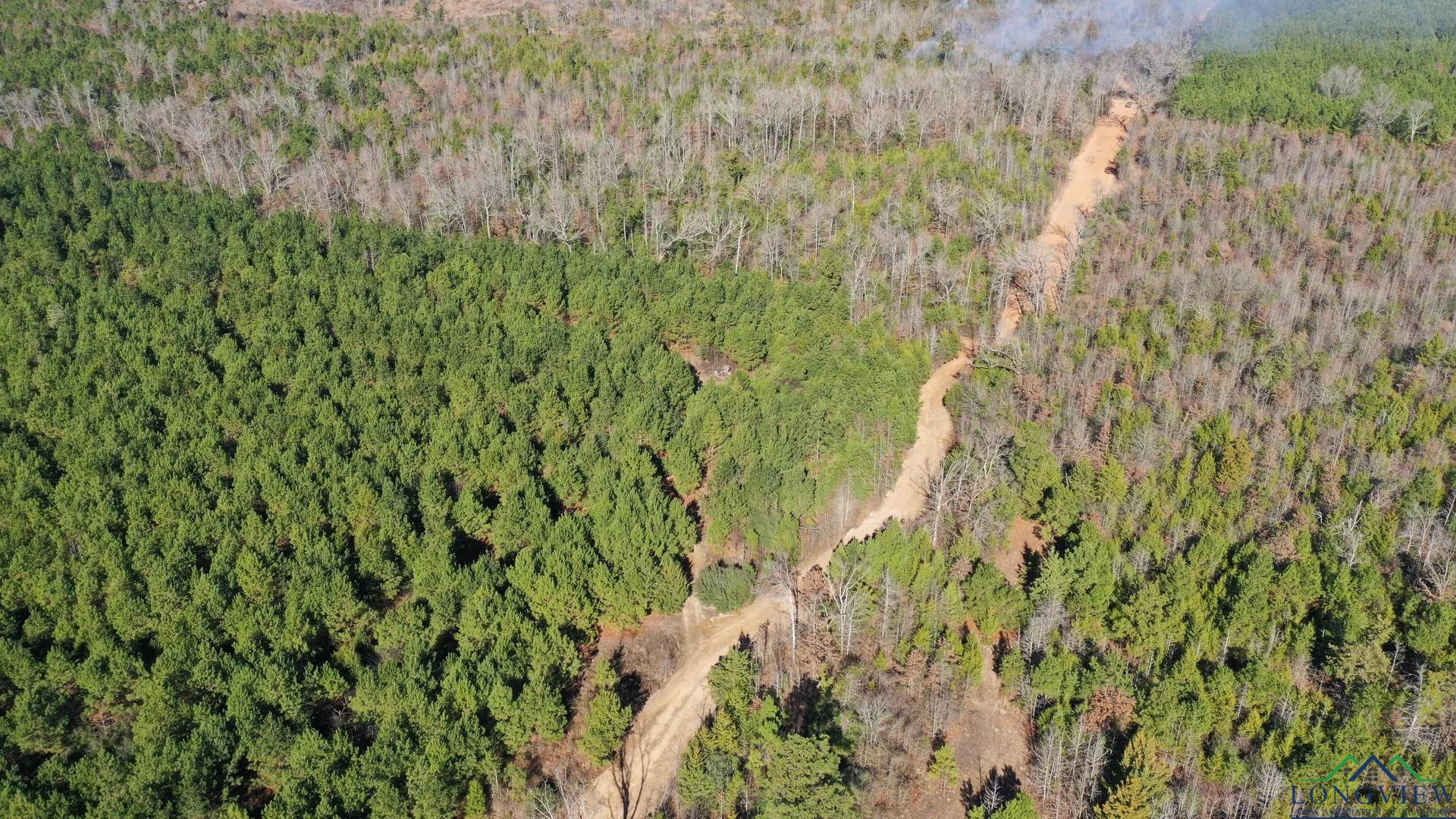 Linden, Texas, 75563, United States, ,Land,For Sale,2005293