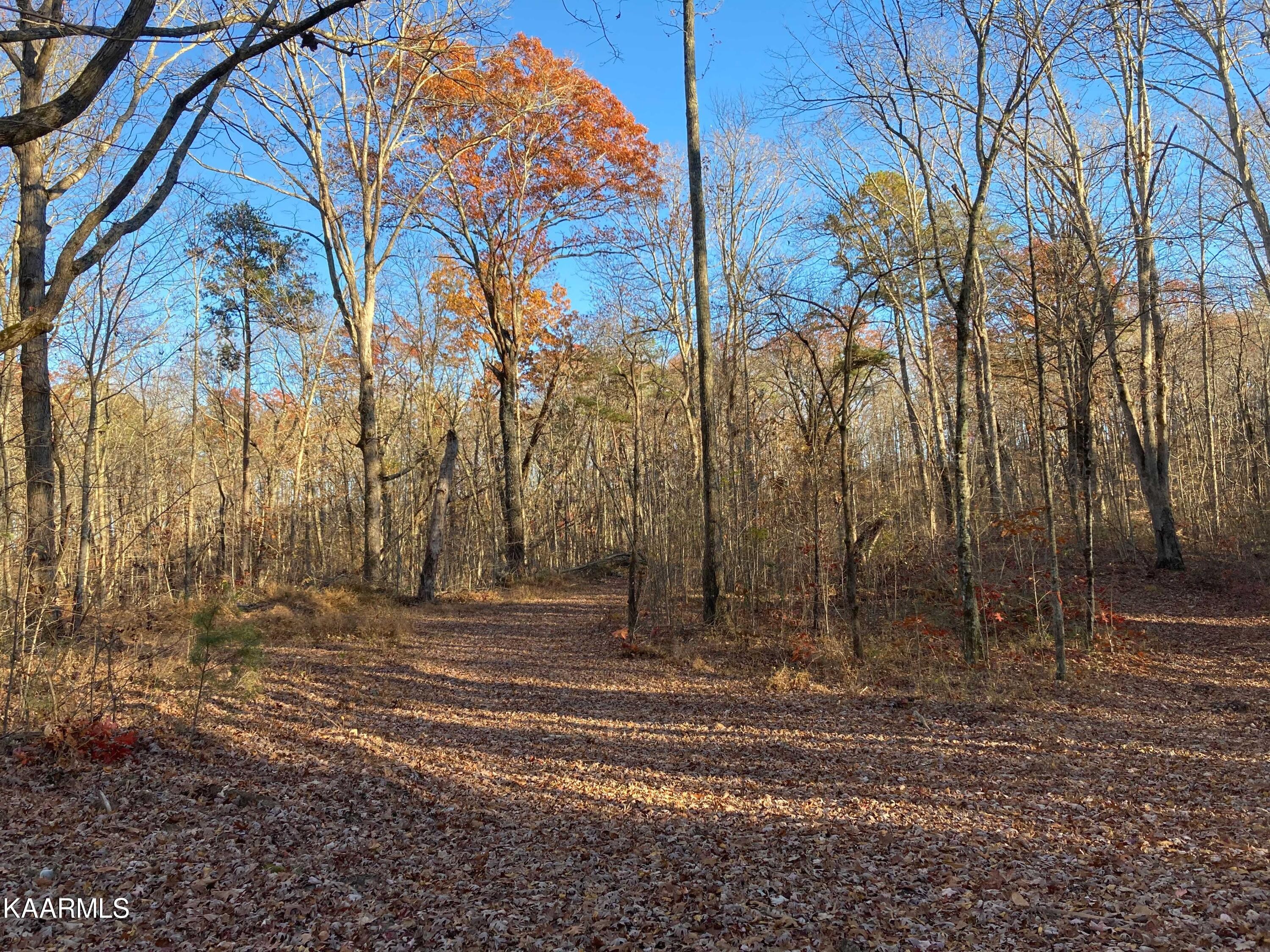 Pikeville, Tennessee, 37367, United States, ,Residential,For Sale,1943070