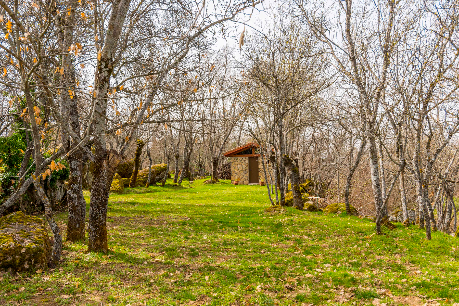  Spectacular estate for promotion in Sotosalbos, Segovia - 物件實景