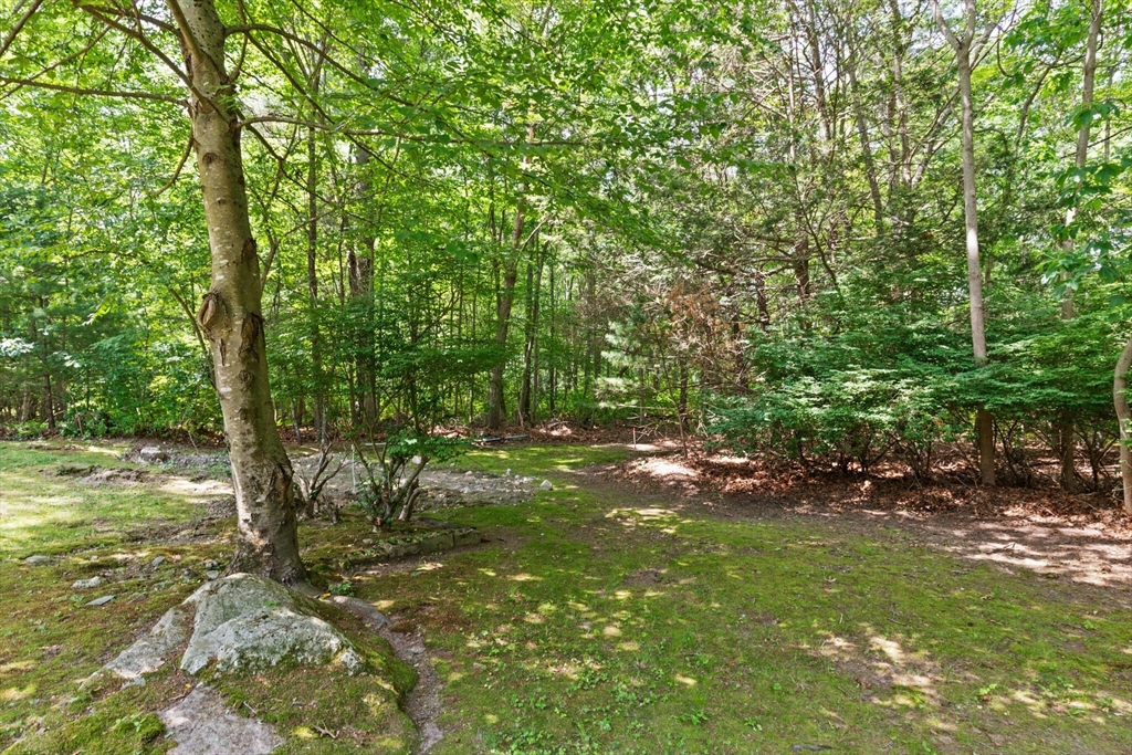 Easton, Massachusetts, 02356, United States, 3 Bedrooms Bedrooms, ,1 BathroomBathrooms,Residential,For Sale,1895599