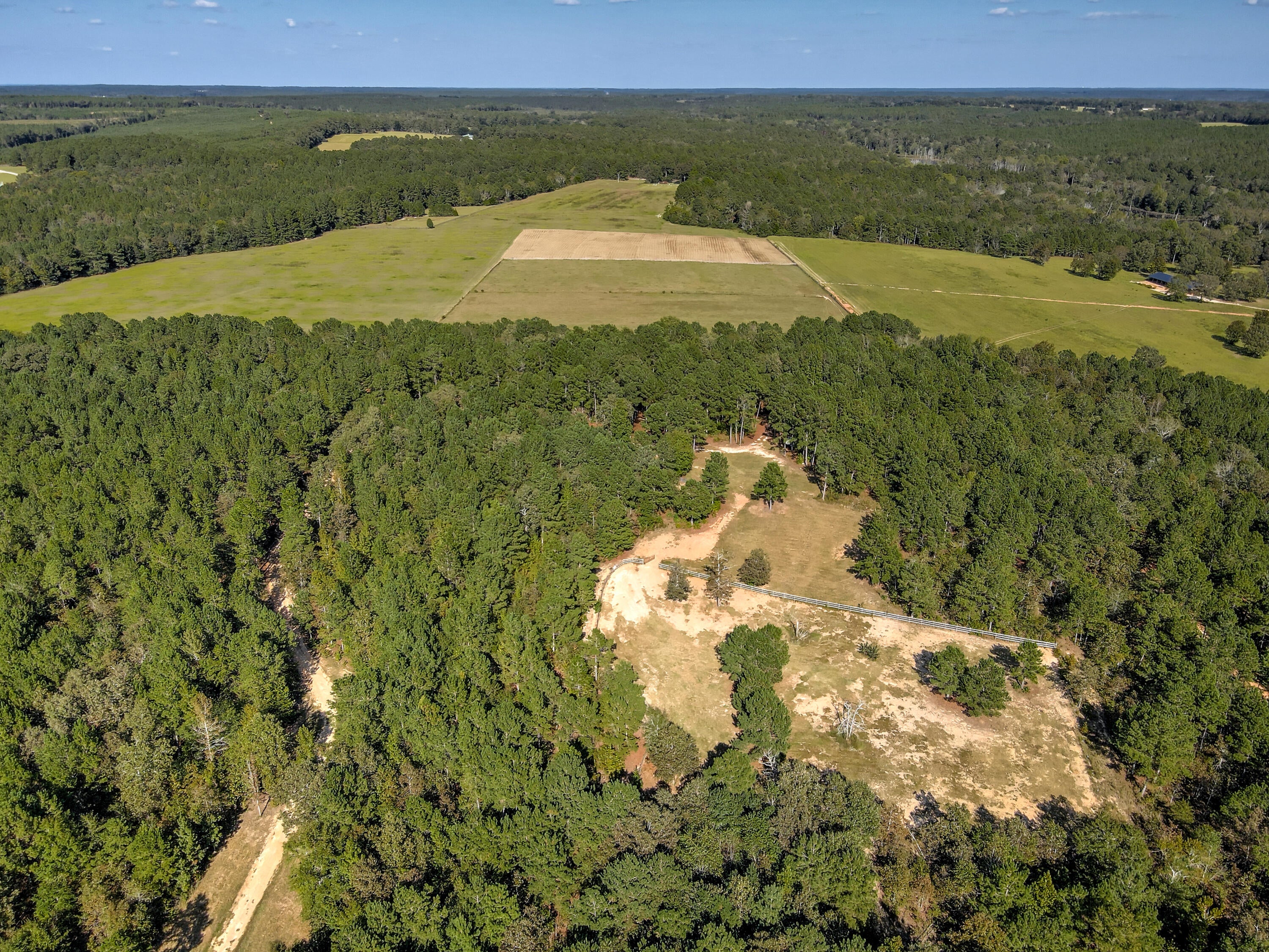 Wagener, South Carolina, 29164, United States, ,Land,For Sale,1969040