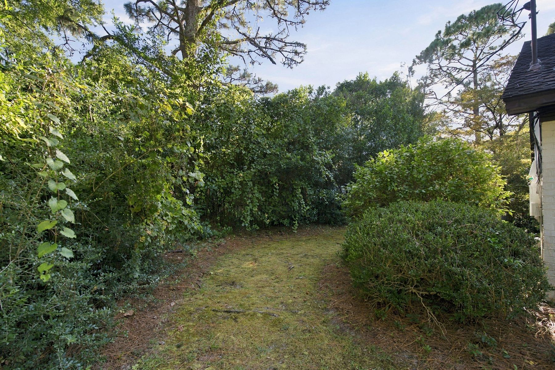  2209 Waverly Drive, Wilmington, NC 28403 - 物件實景