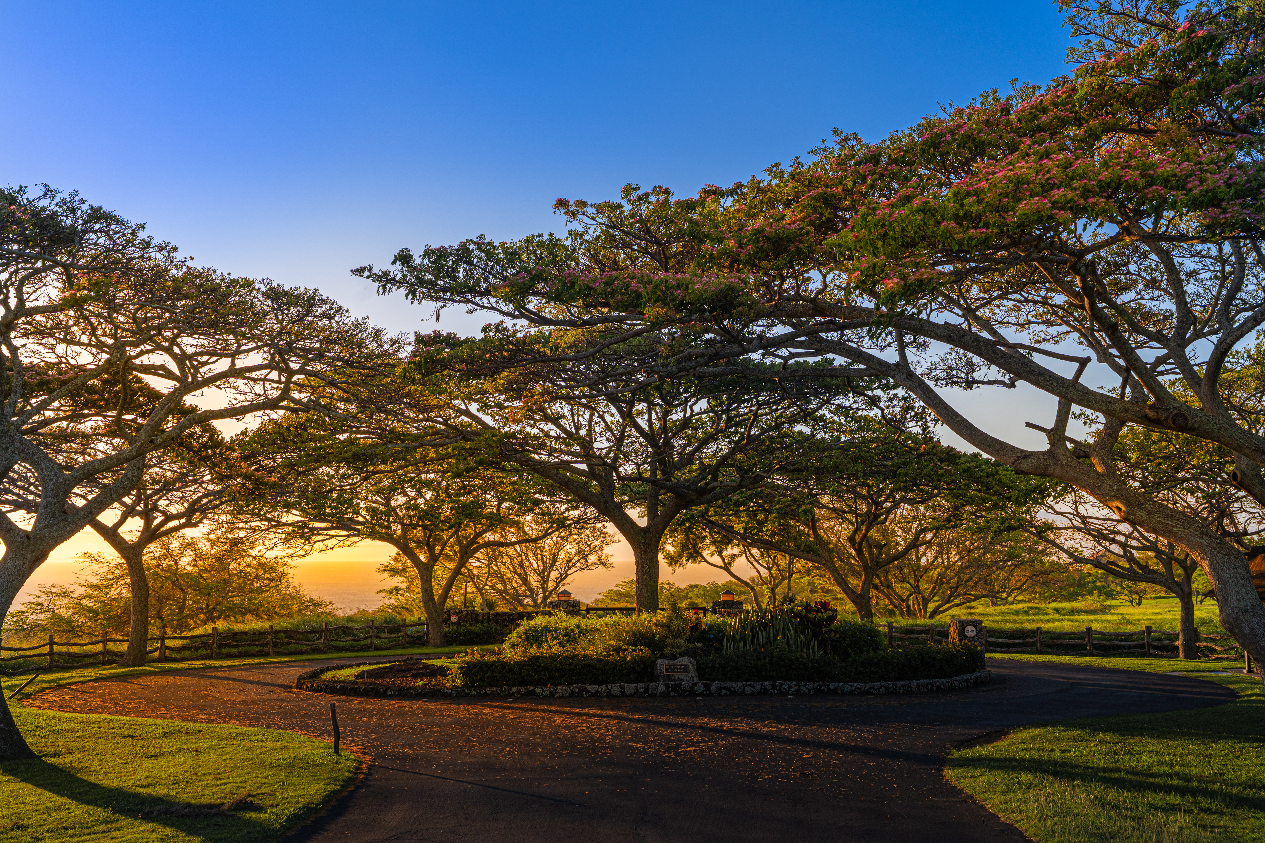  56-183 Pualani Rd, Hawi, HI, 96719 - 物件實景