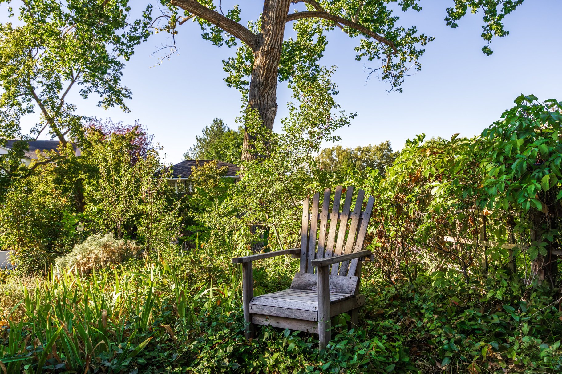  Classic Yale Avenue Bungalow in the Heart of Gilmer Park - 物件實景