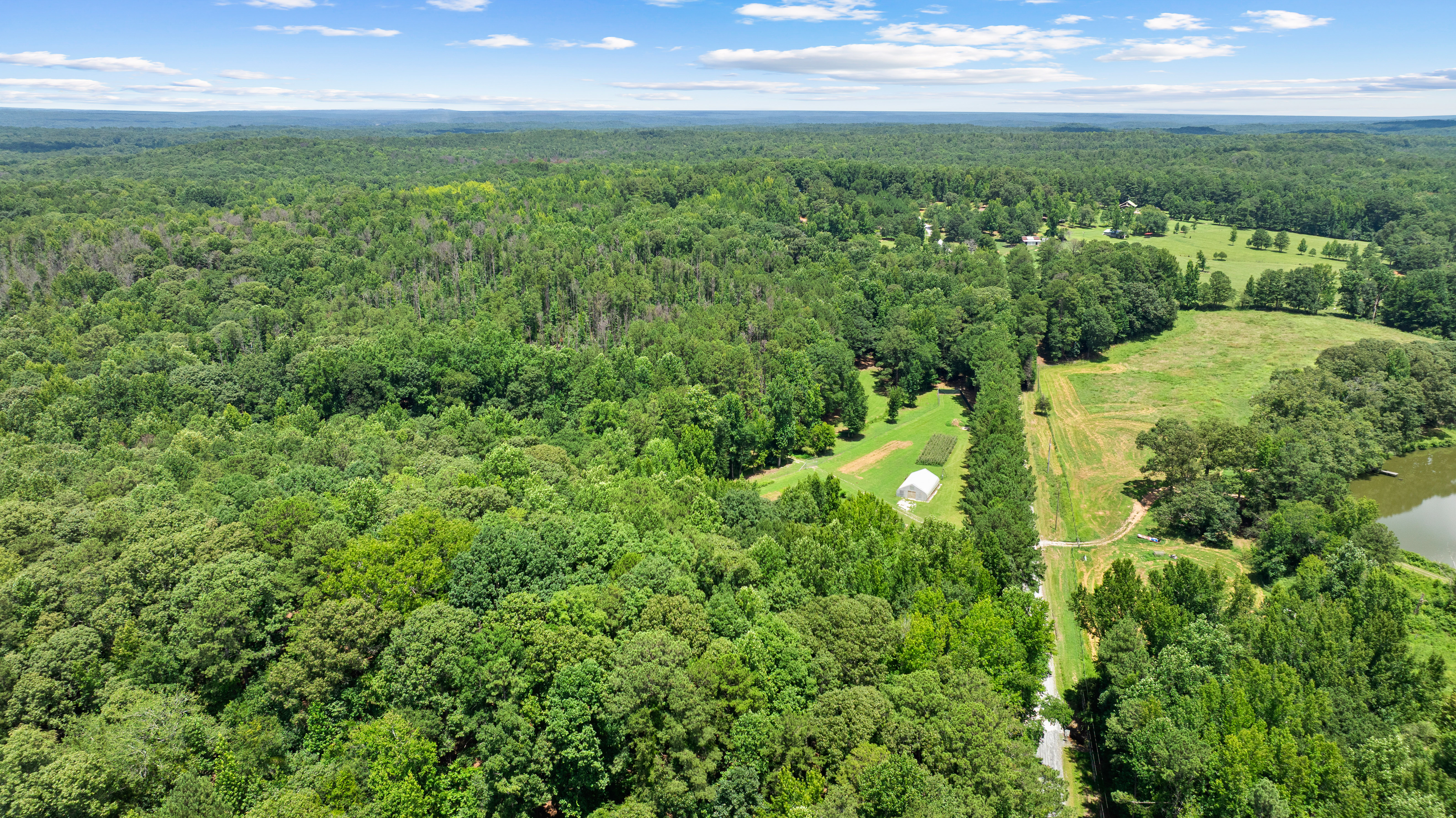  52 +/- Acres of Working Land and Quiet Woods - 物件實景