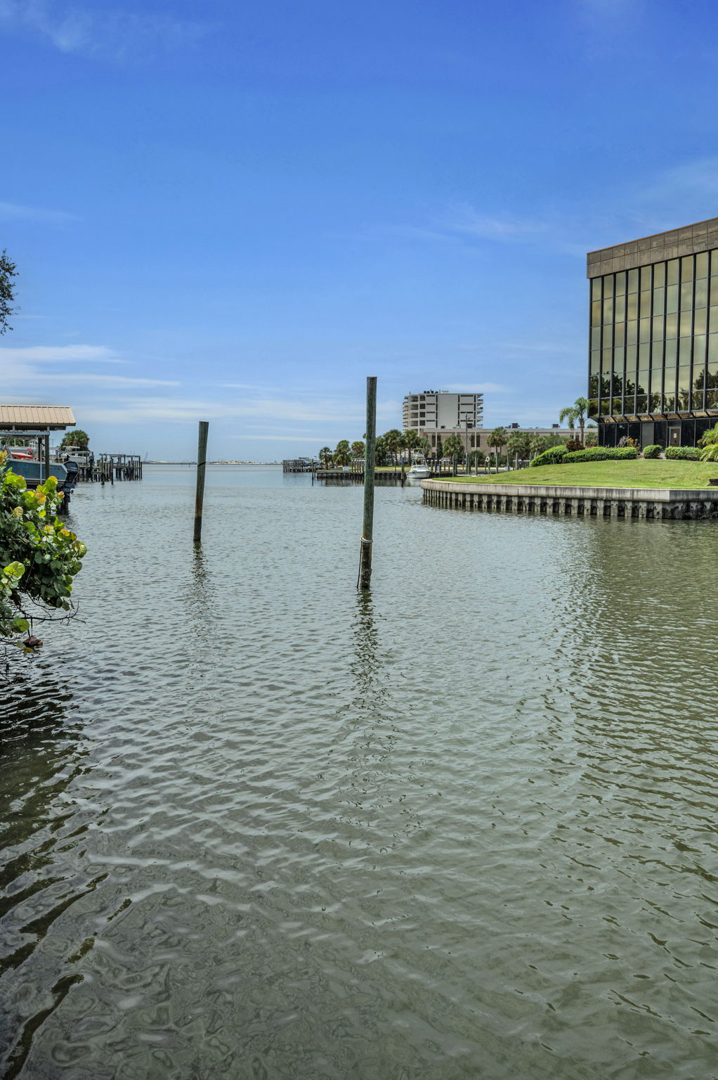 Tampa, Florida, 33609, United States, ,Land,For Sale,1976610