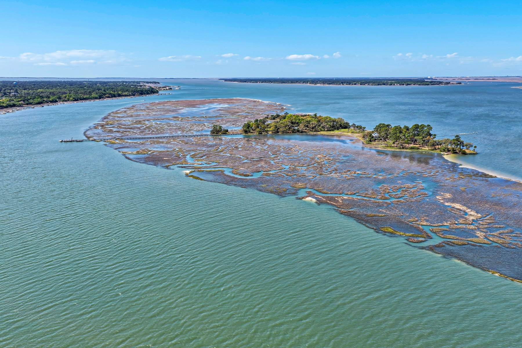  Buck Island  A Private Lowcountry Sanctuary - 物件實景